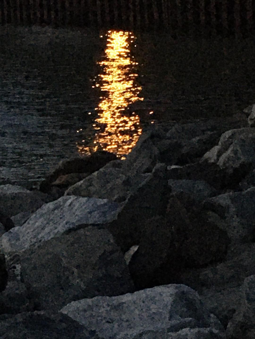 Community photo entitled  by Noelle Cunneely on 08/01/2020 at Tappen Beach, NY