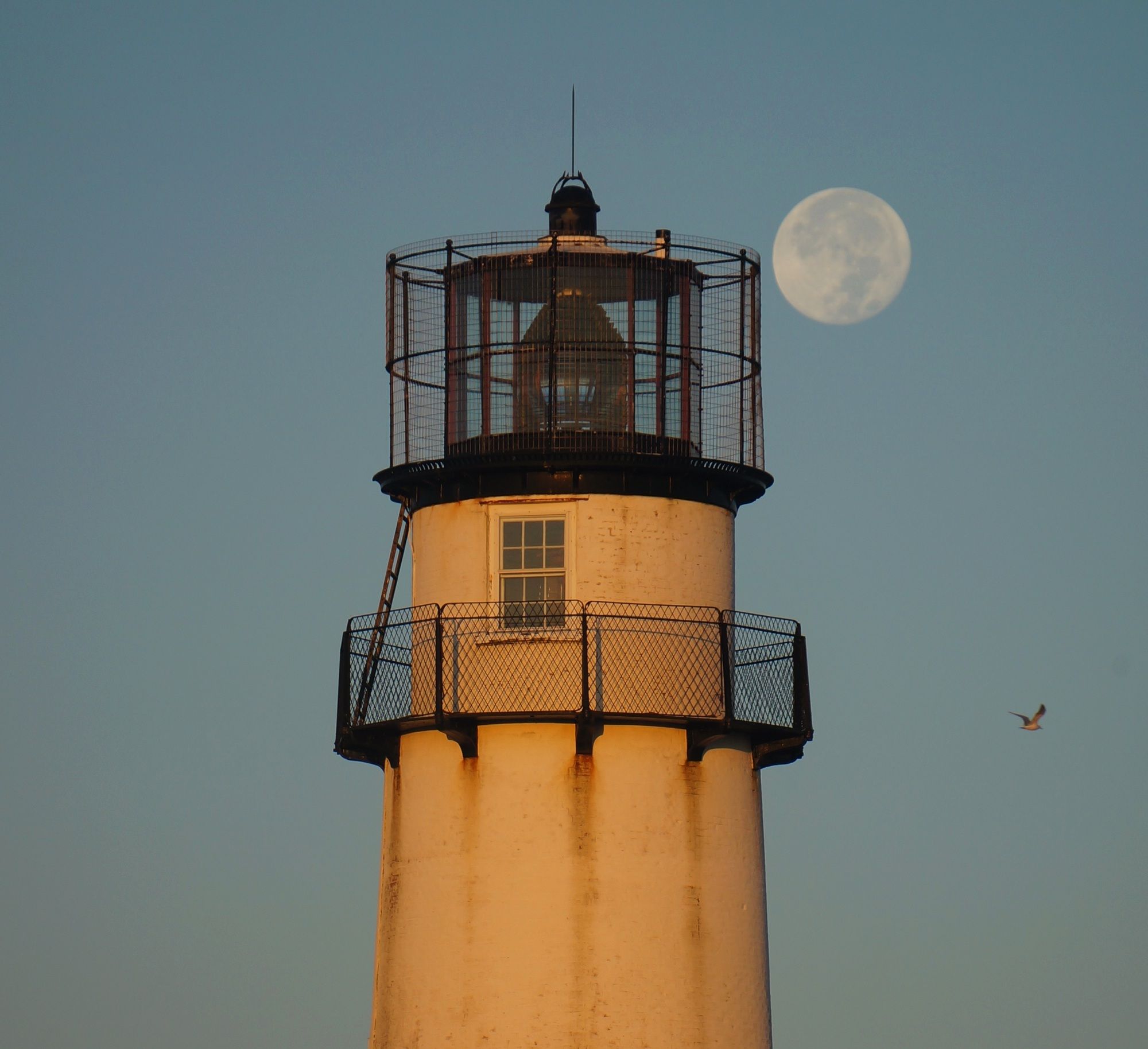 Community photo by BLW McGrory | Fenwick Island, Delaware