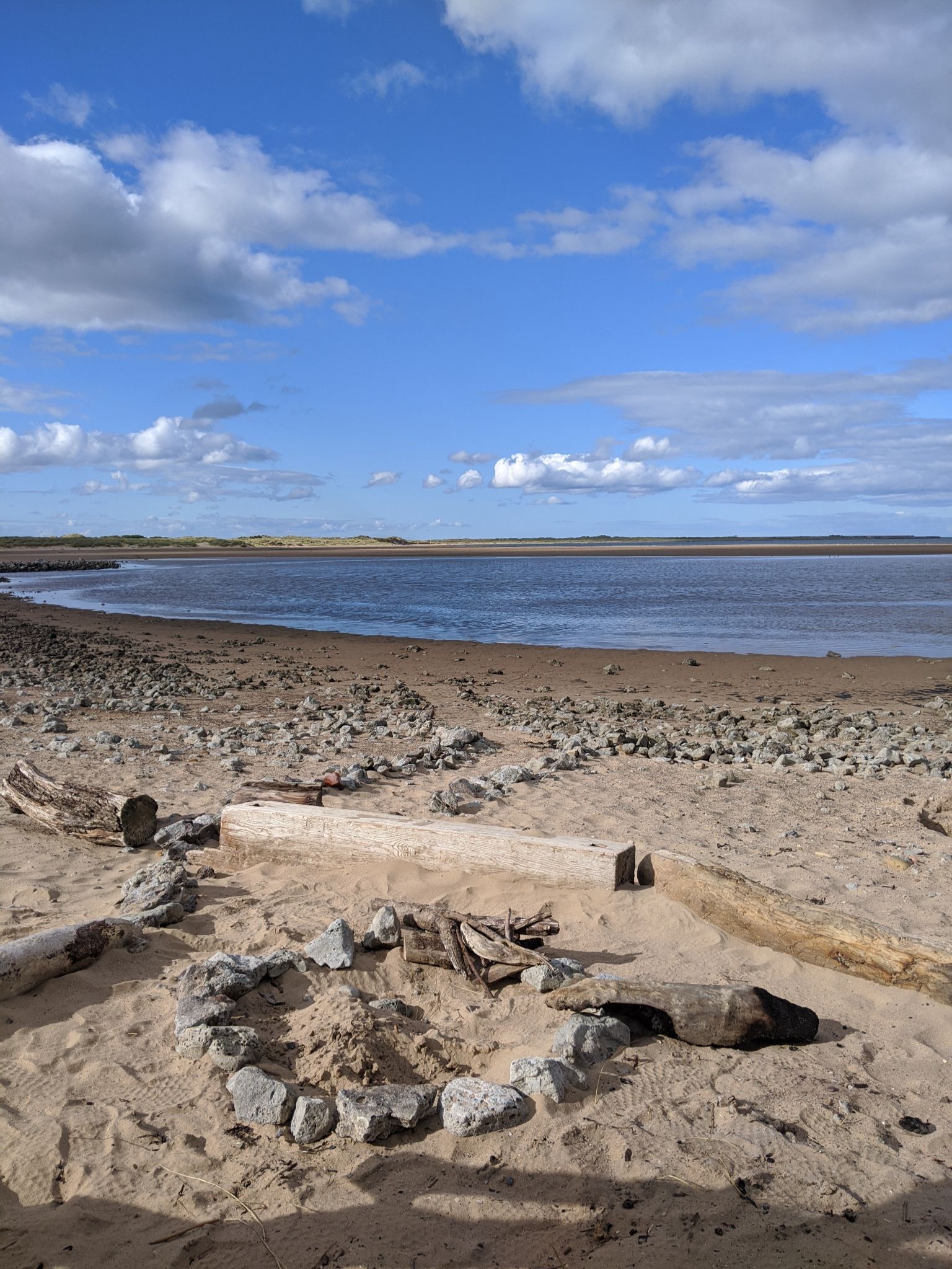 Community photo entitled  by kevan hubbard on 09/03/2020 at Teesmouth nature reserve, Co Durham, England