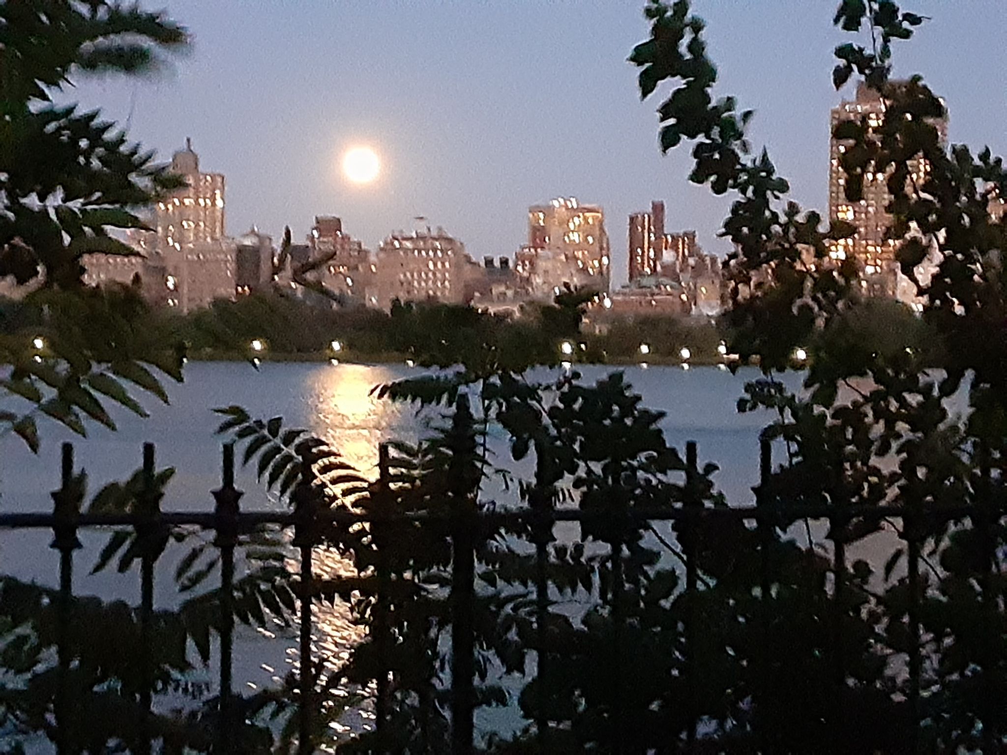 Community photo entitled  by RoseMarie McClellan on 09/30/2020 at Central Park Resevoir NYC, New York,  USA