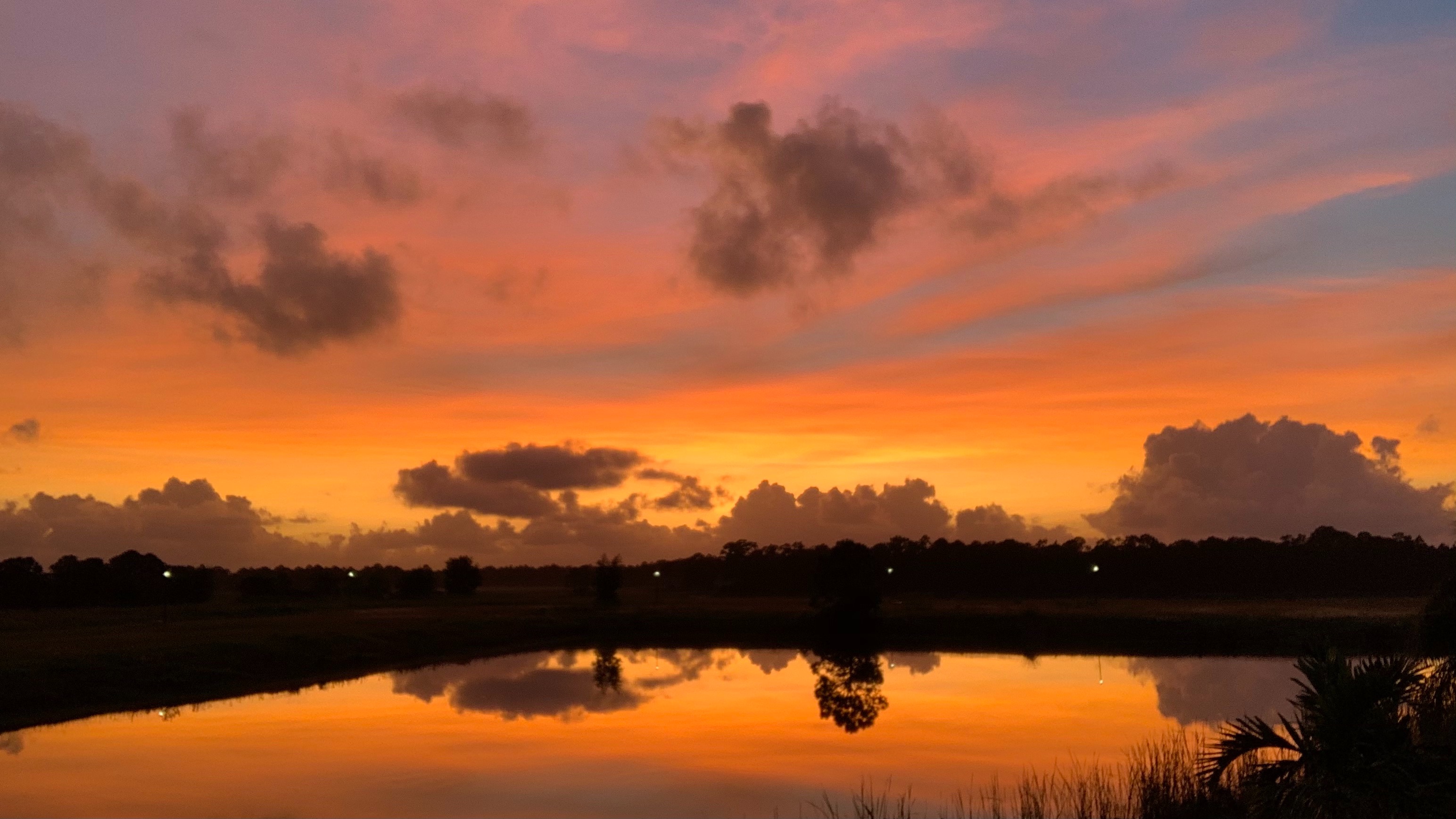 Community photo entitled  by Christy Browne on 10/28/2020 at St.lucie