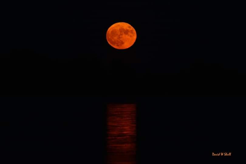 Community photo by David Shull | Elloree SC on Lake Marion, South Carolina US