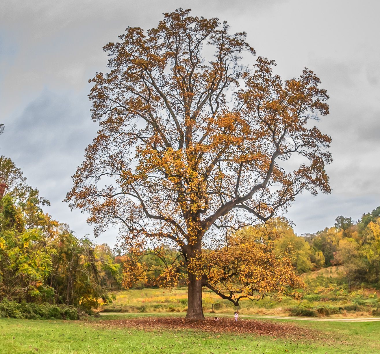 Community photo entitled  by Ragini Chaturvedi on 10/24/2020 at Holmdel, NJ