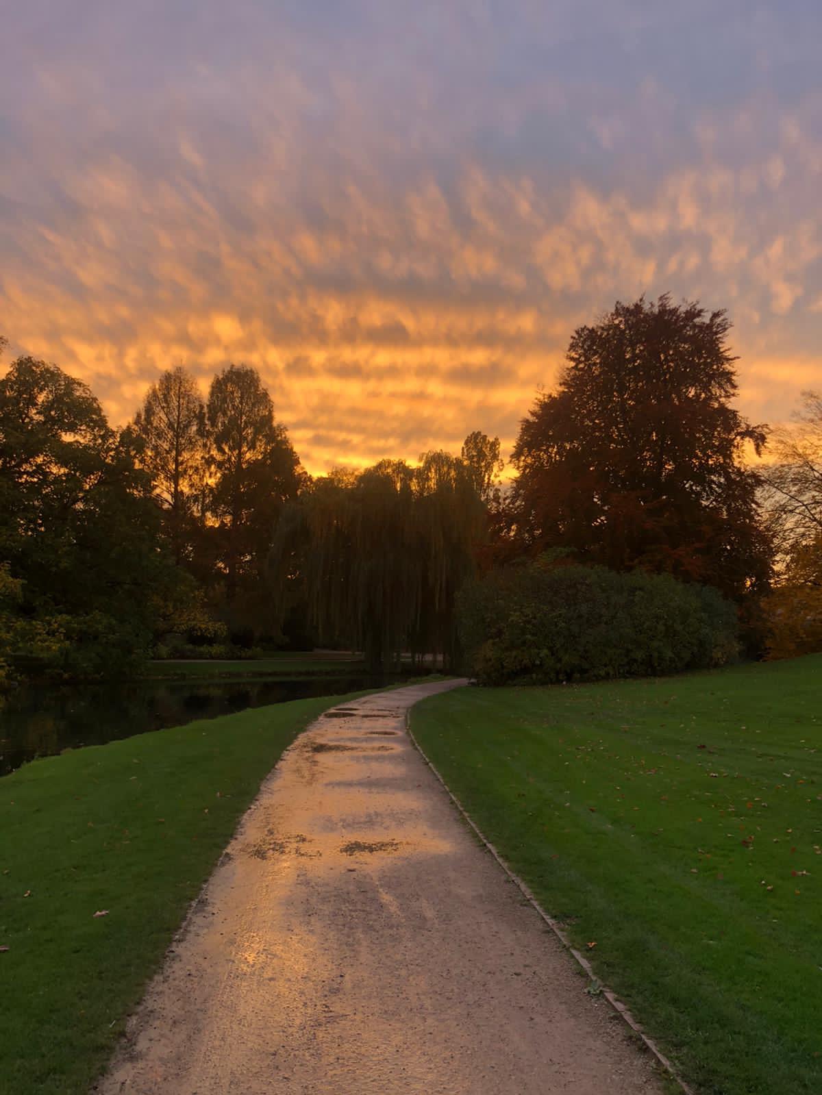 Community photo by Madison Wooldridge | Schloss Park, Celle, Germany