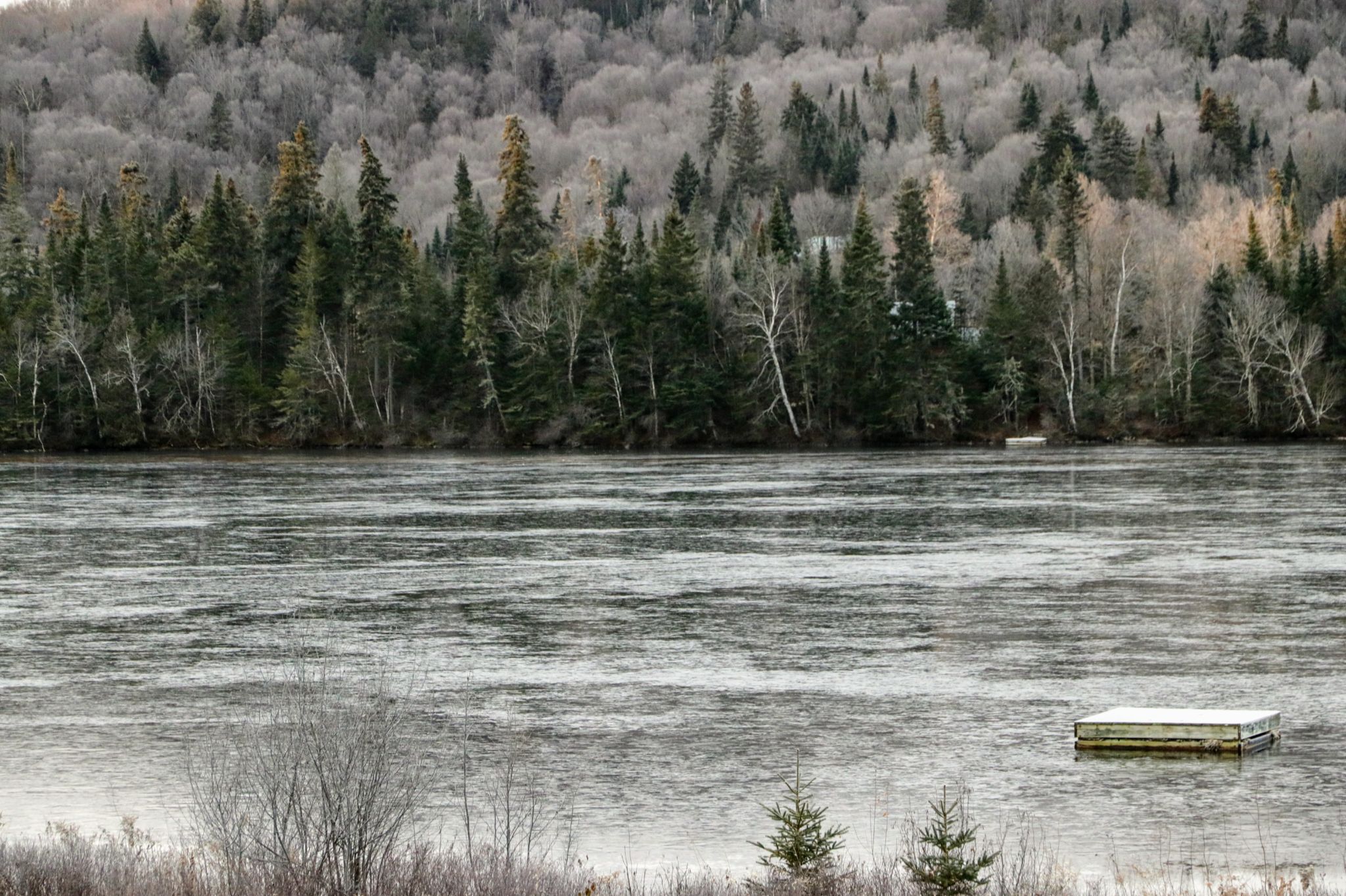 Community photo entitled  by Richard Swieca on 11/22/2020 at Ste. Agathe des Monts, Quebec, Canada