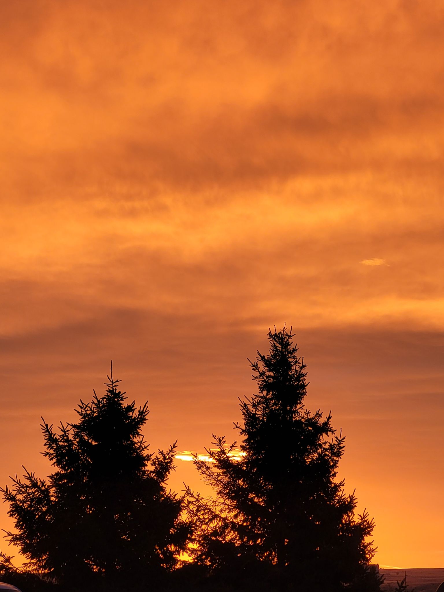 Community photo by James Gunderson | Laurel mt usa