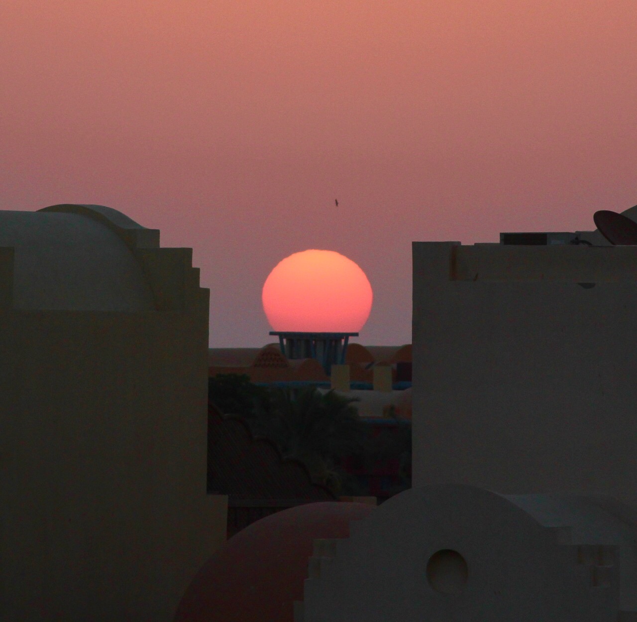 Community photo entitled  by Cleff Susanne on 10/31/2020 at El Gouna, Red Sea, Egypt