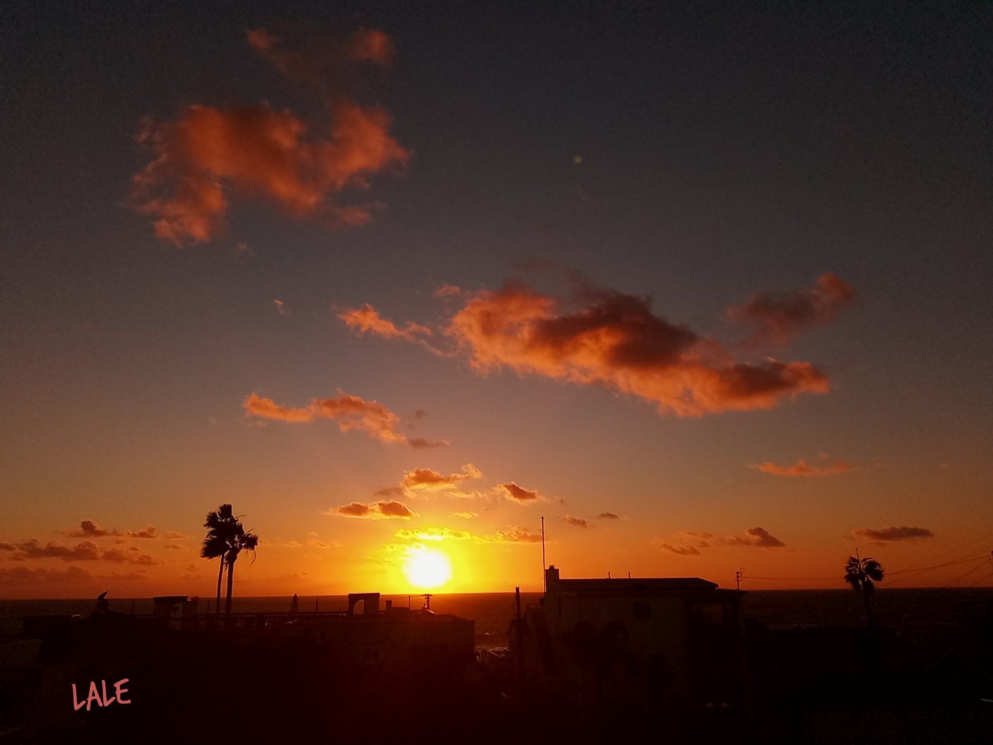 Community photo entitled  by Laurie Engelhardt on 11/07/2020 at Hermosa Beach, California