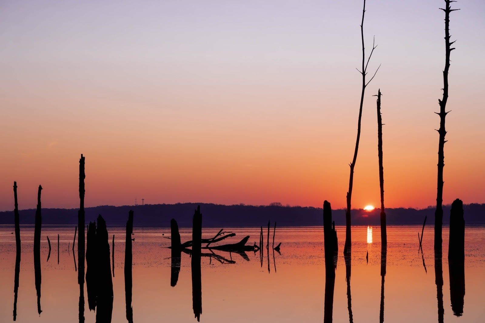 Community photo by Ragini Chaturved | Manasquan Reservoir, NJ