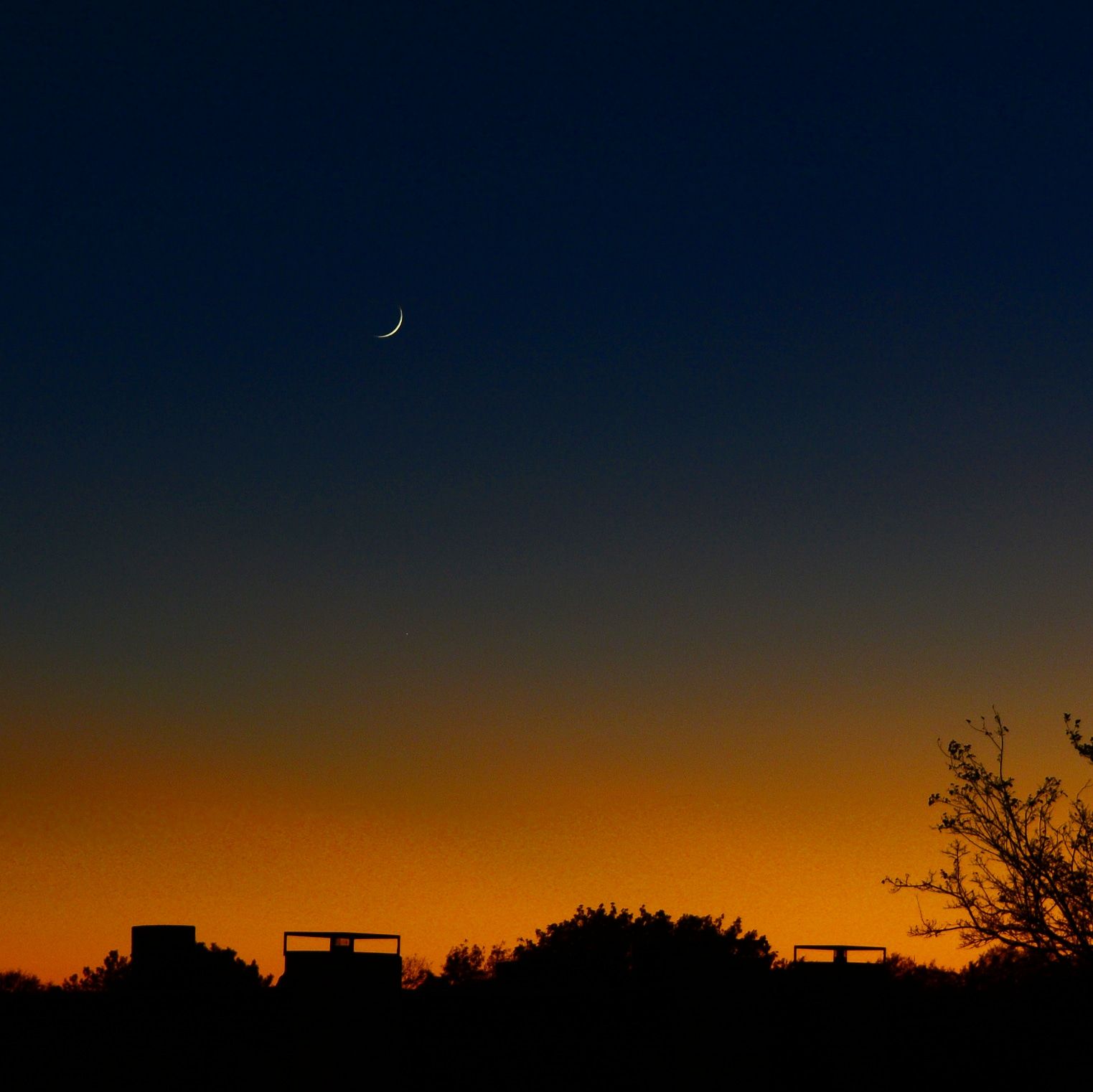 Community photo entitled  by Cooper Brown on 11/16/2020 at Arlington, TX