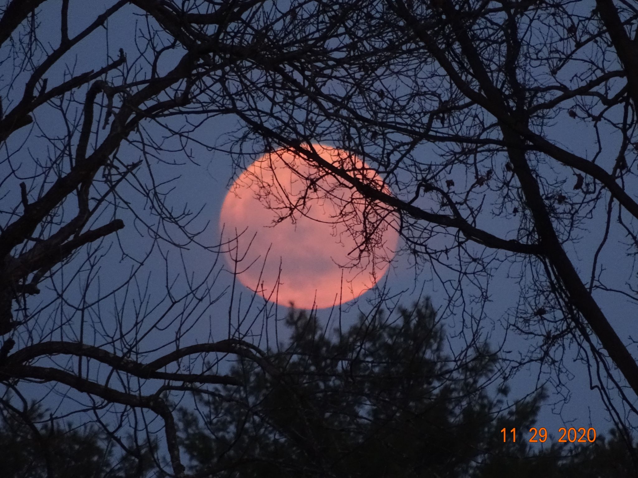 Community photo by Jacqueline Greco | Norristown Farm Park,  East Norriton, PA