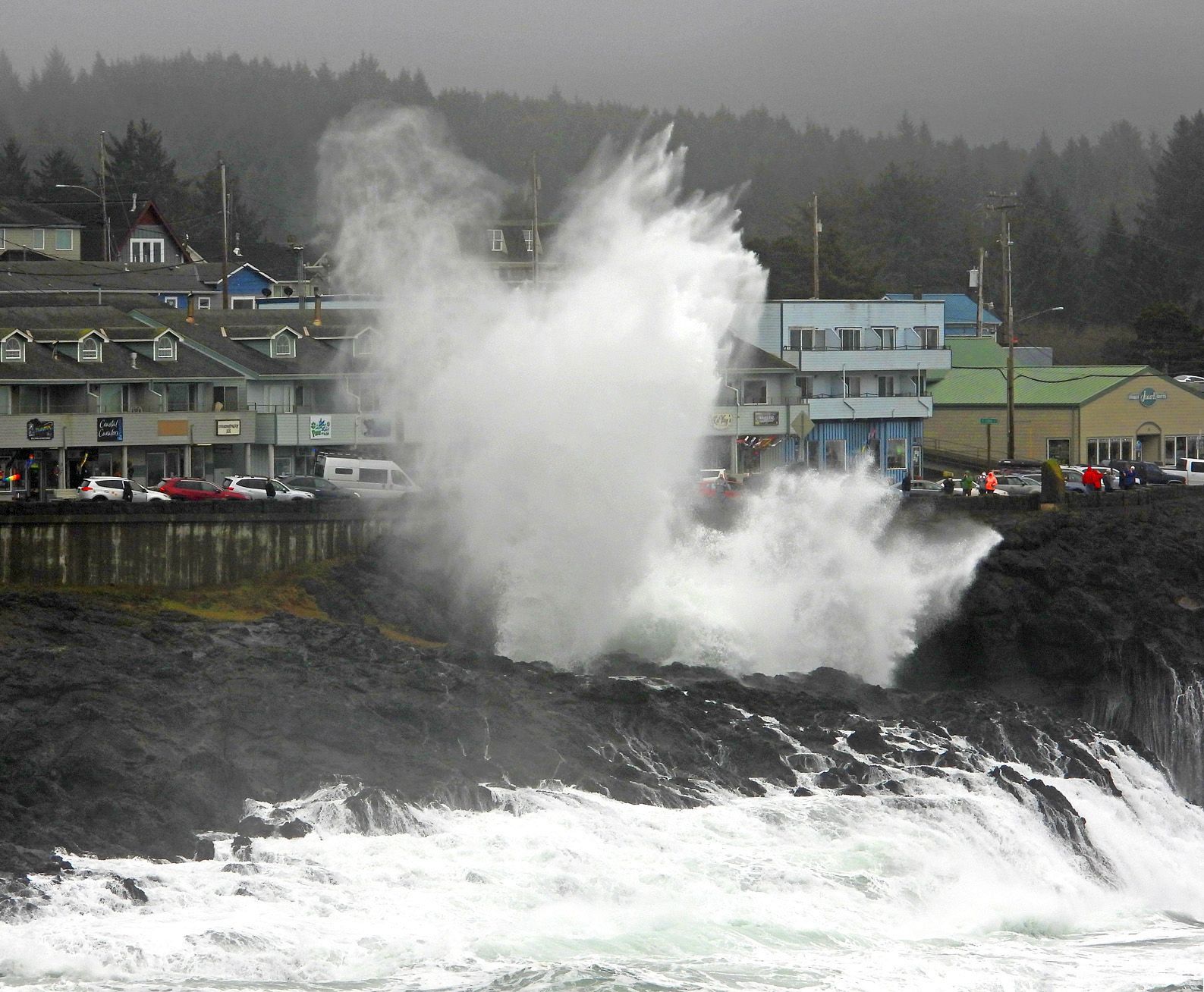 Community photo entitled  by Cecille Kennedy on 11/16/2020 at Depoe Bay, OR, USA