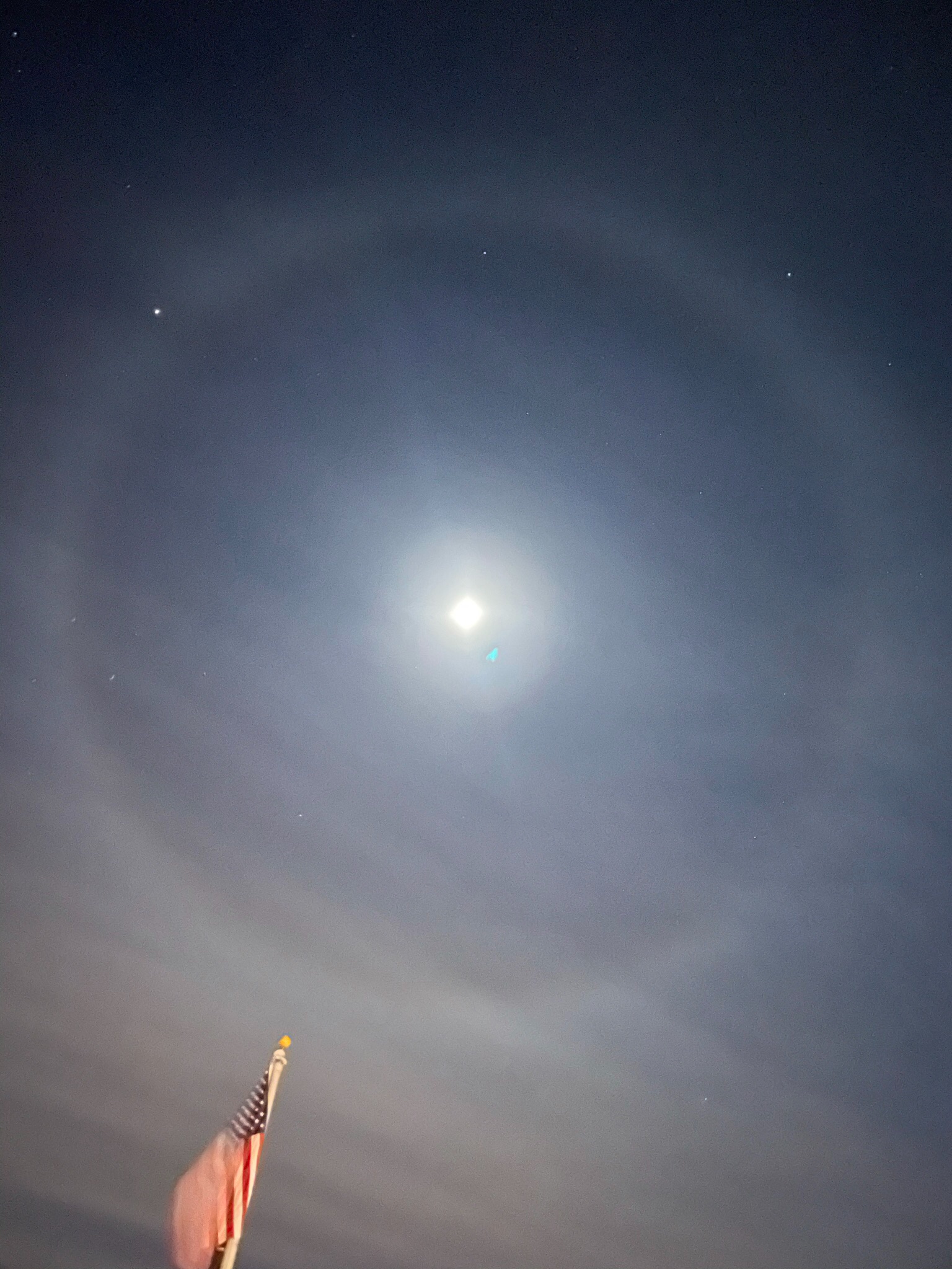 Community photo entitled  by Arne Herenstein on 12/21/2020 at Flagler Beach FL USA