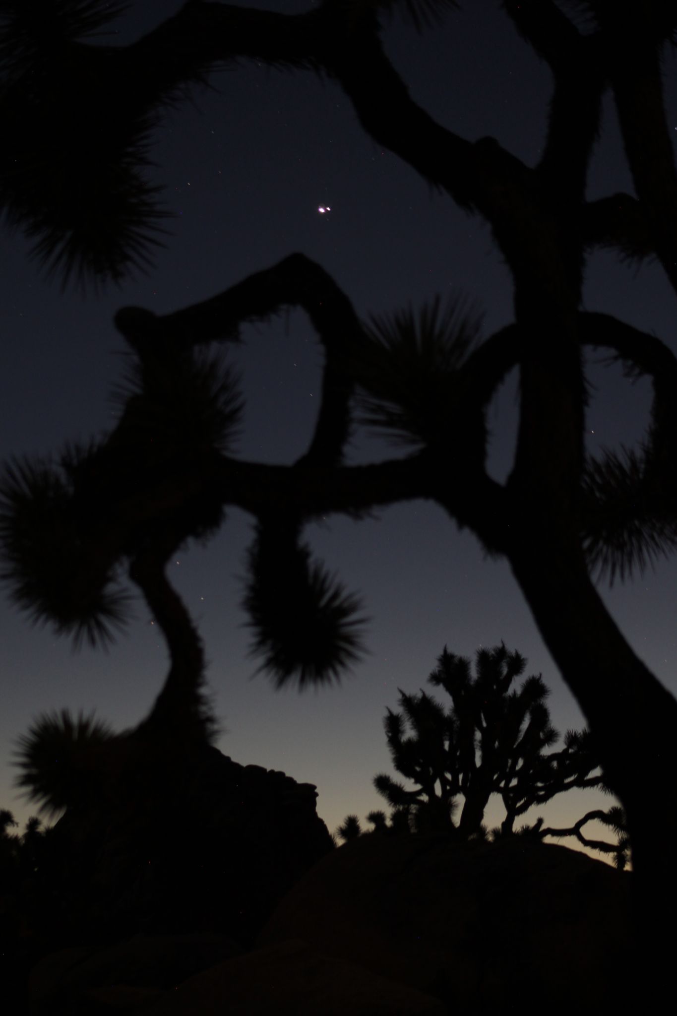 Community photo entitled  by Jeff Cate on 12/21/2020 at Joshua Tree National Park, California, USA