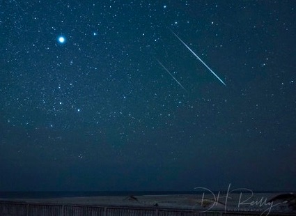 Community photo by Reilly Dawn | Assateague Island National Seashore, MD, USA