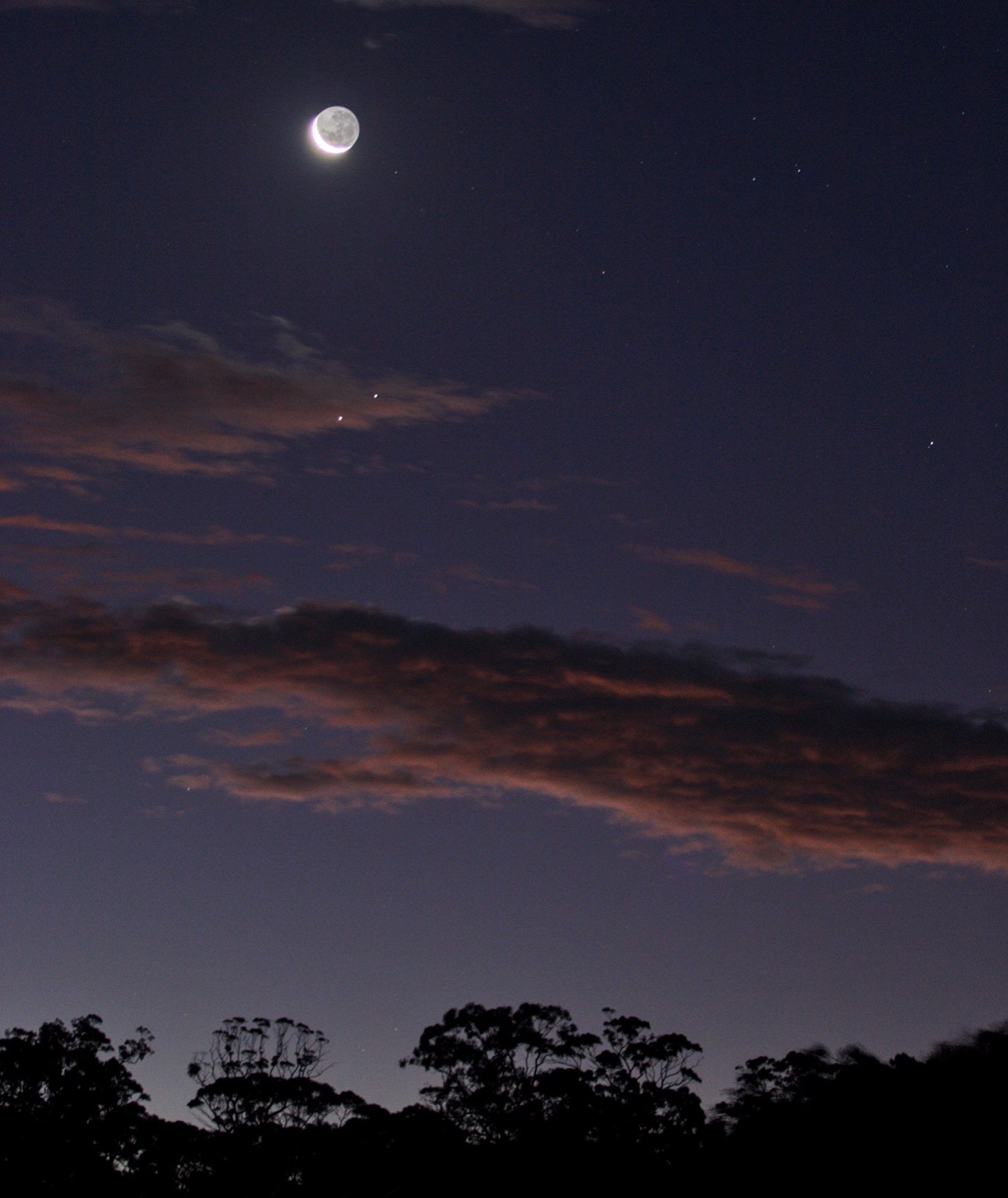 Community photo entitled  by Lynne Robinson on 12/18/2020 at Watervale south australia