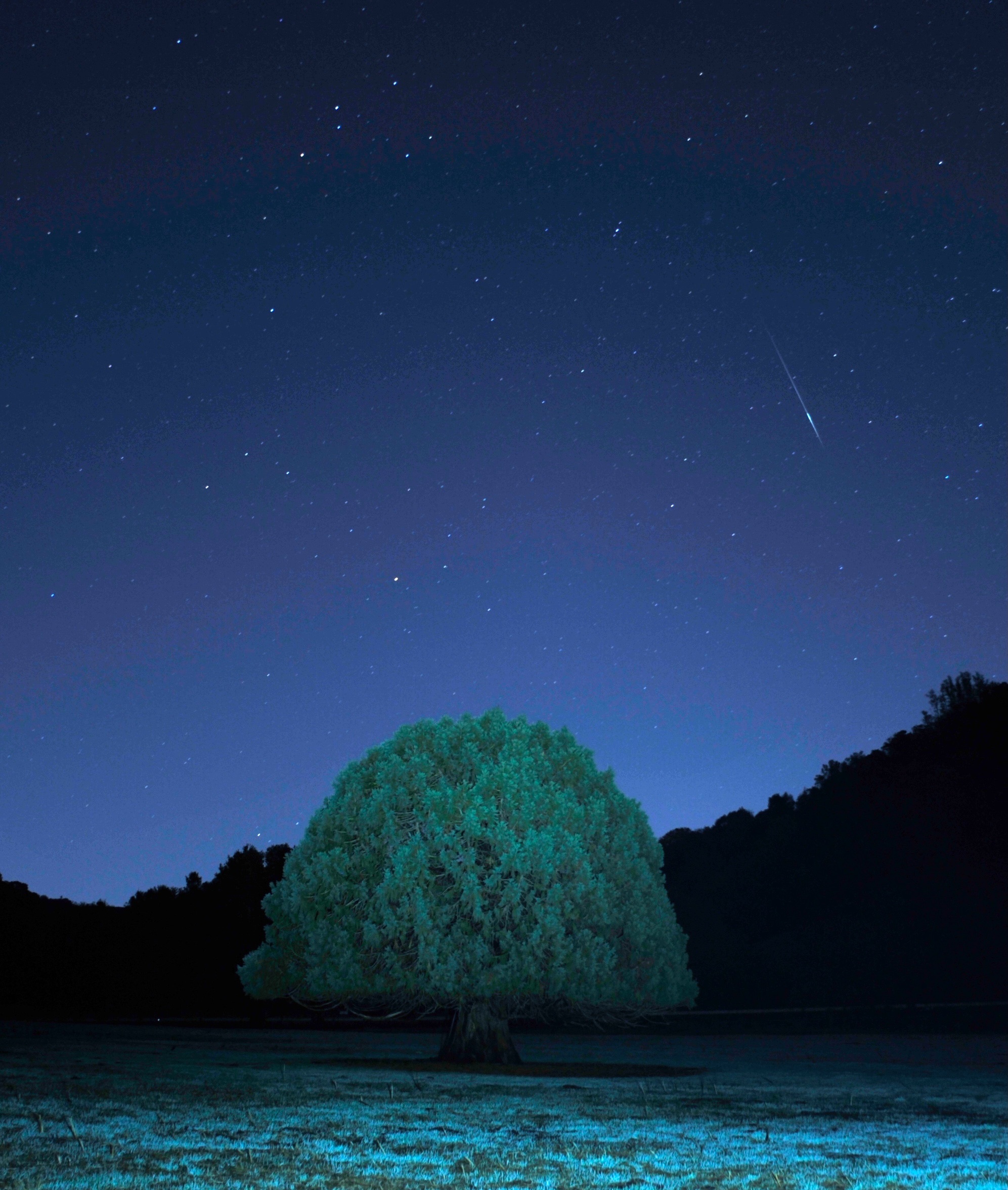 Community photo by Mark Guthrie | Briones Regional Park, CA.