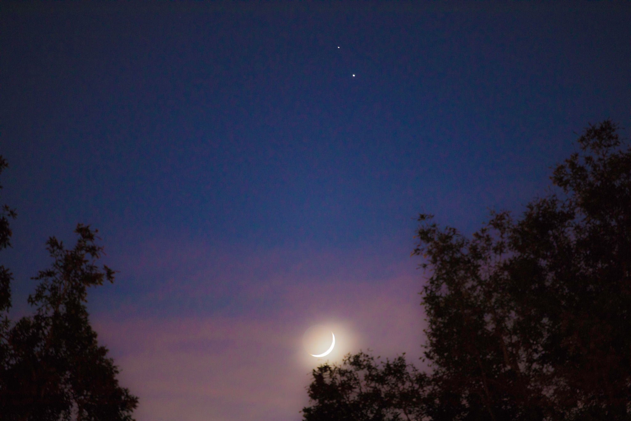 Community photo by Michael Williams | Fullerton, CA.