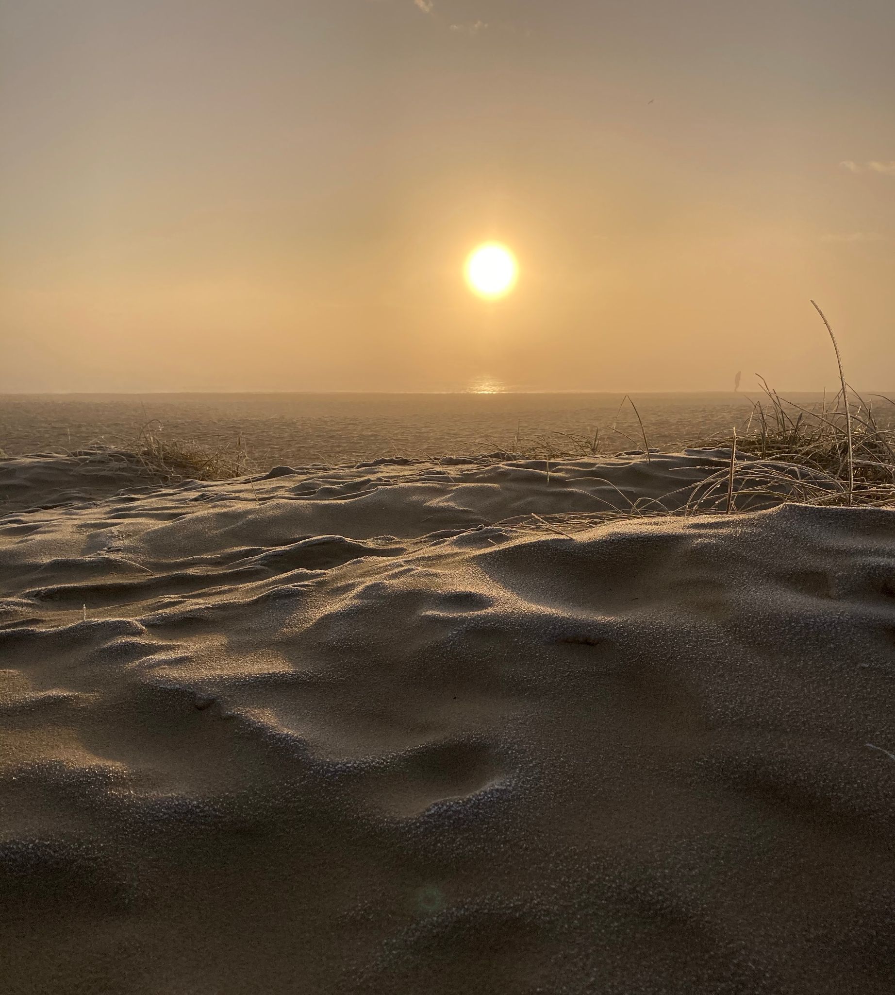 Community photo entitled  by Mark Mulligan on 11/27/2020 at Southwold, east coast, England