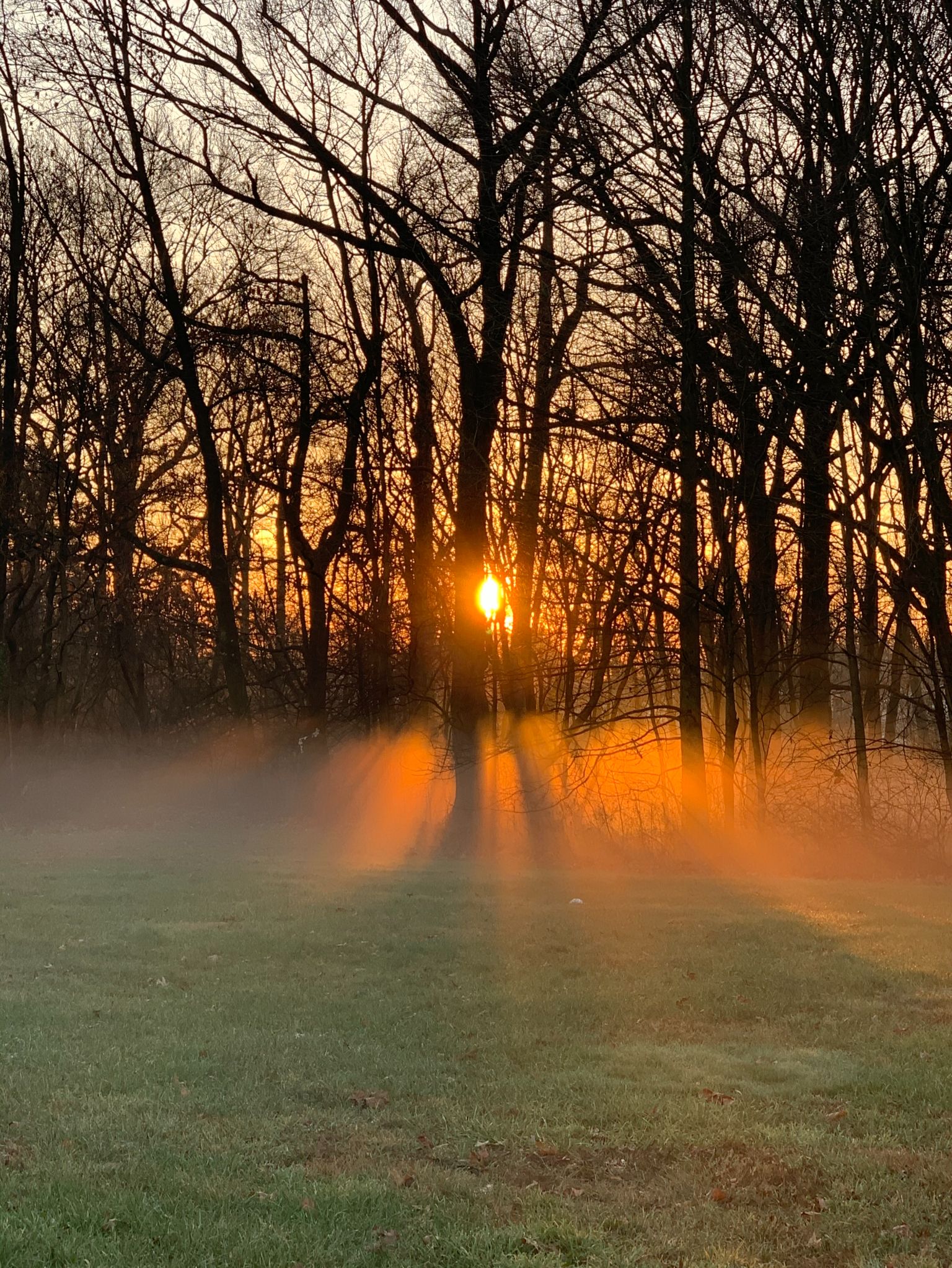 Community photo by Ingrid Rosenback | Ridley Township Municipal Park