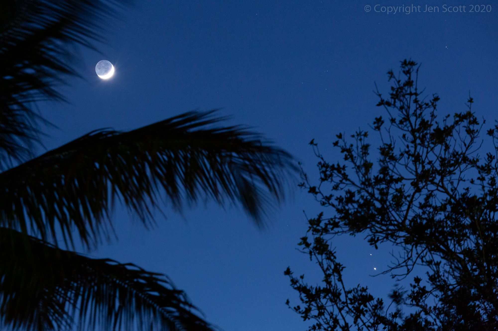 Community photo entitled  by Jen Scott on 12/17/2020 at Palm Beach Gardens, Florida