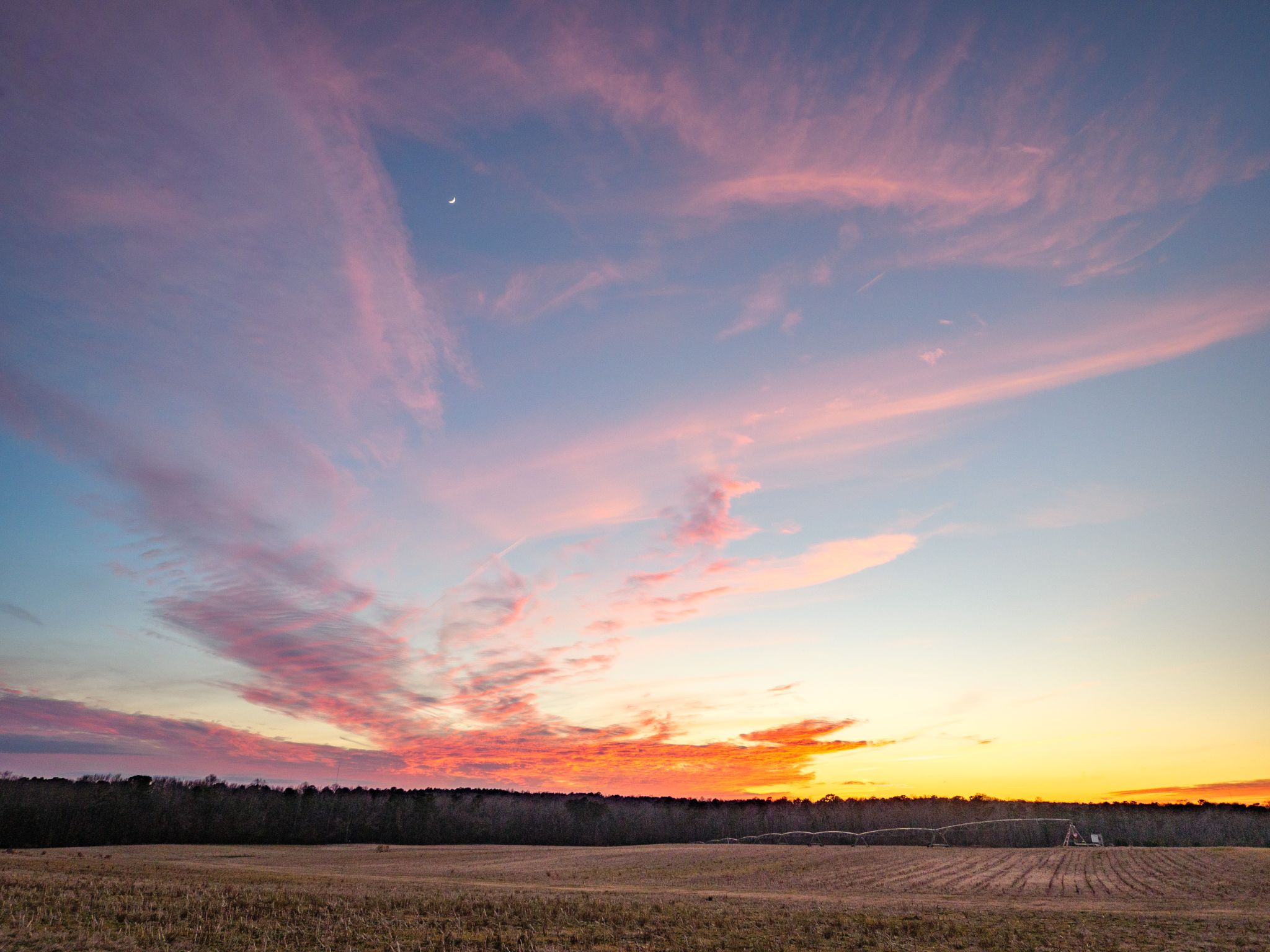 Community photo entitled  by Steve Browne on 01/17/2021 at Raleigh, NC, USA