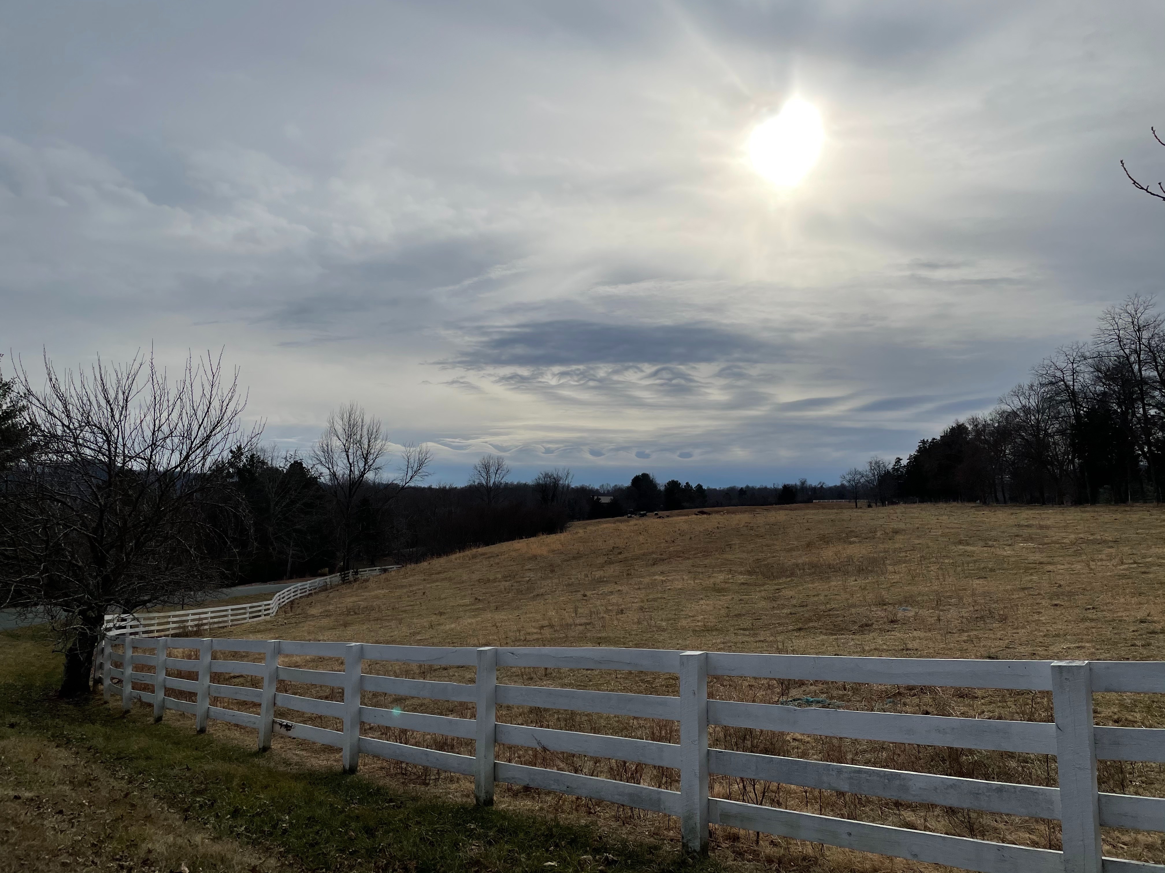 Community photo entitled  by Courtney Cacatian on 01/24/2021 at Albemarle County, Virginia, USA