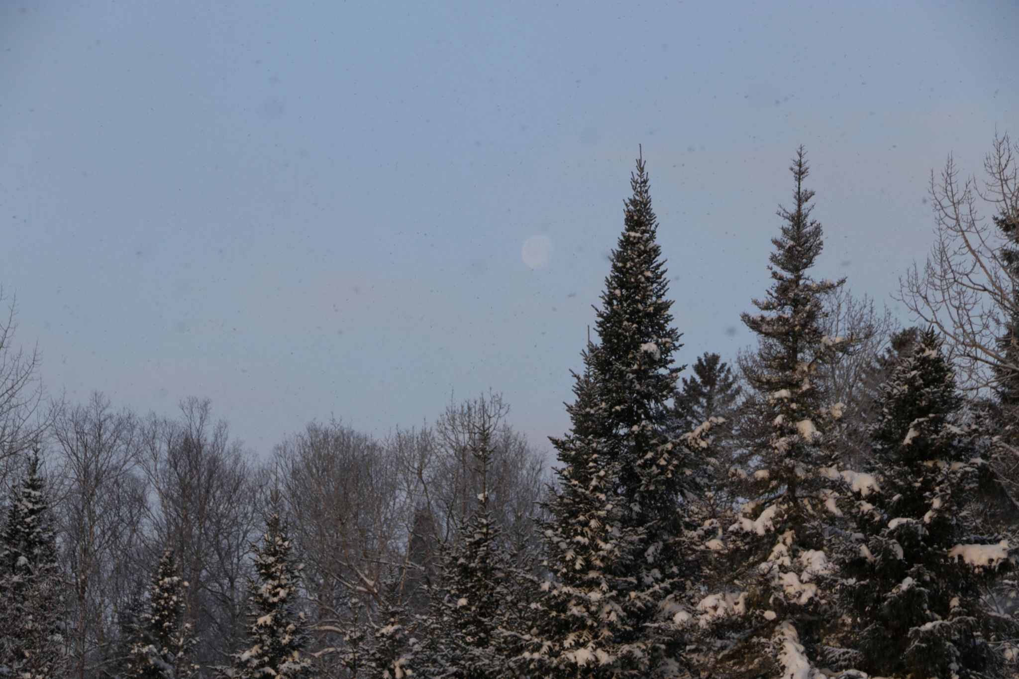 Community photo entitled  by Richard Swieca on 01/01/2020 at Ste. Agathe des Monts, Quebec, Canada