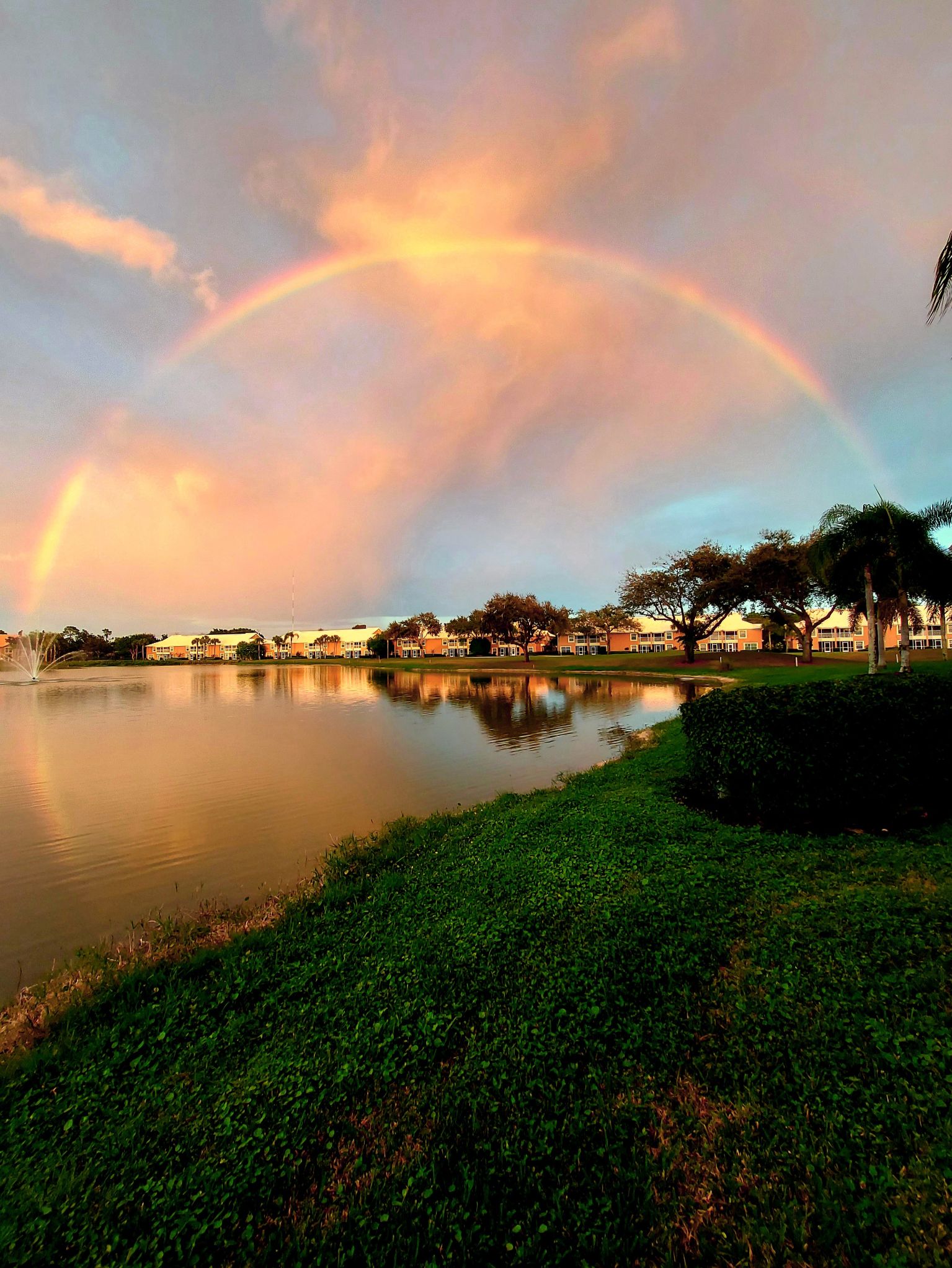 Community photo entitled  by Kath Bizzarro on 01/02/2021 at Bonita Springs, Florida, USA