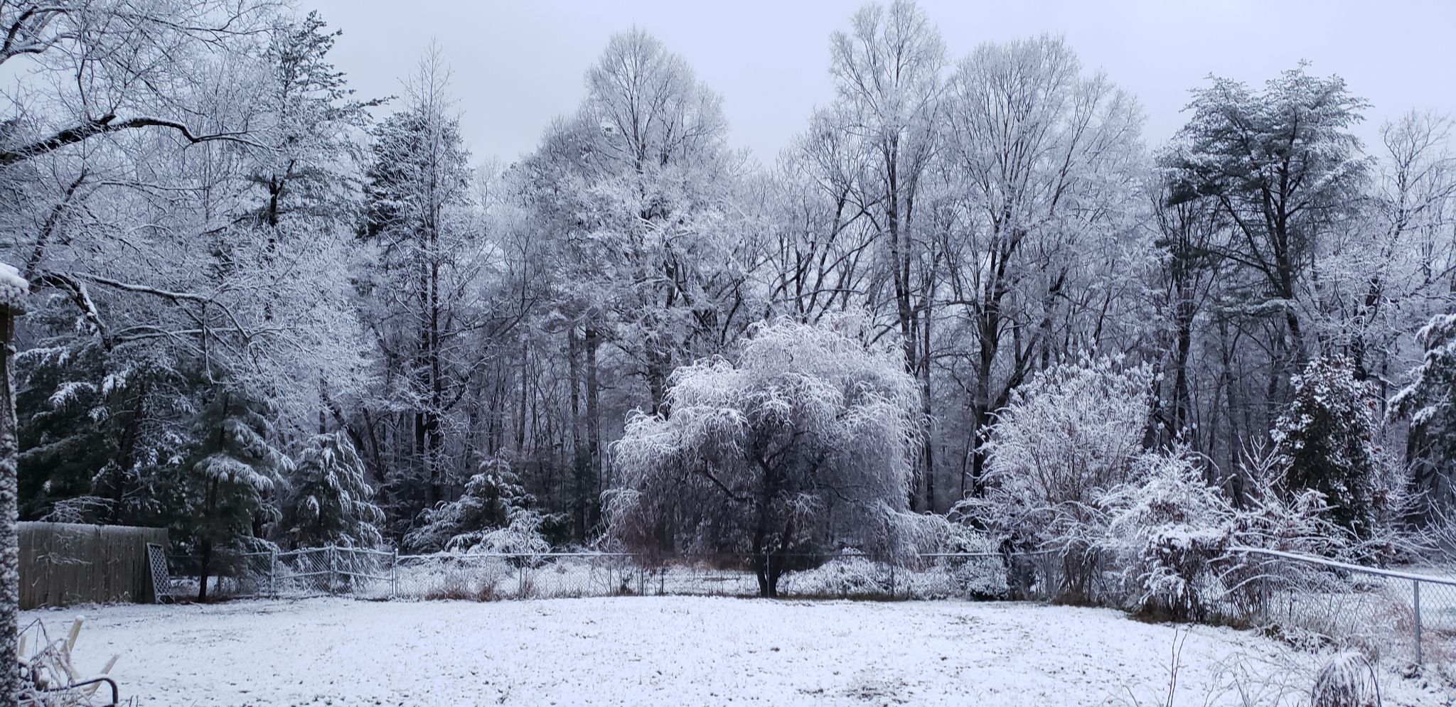 Community photo by Cynthia Taves | Green Level, NC USA