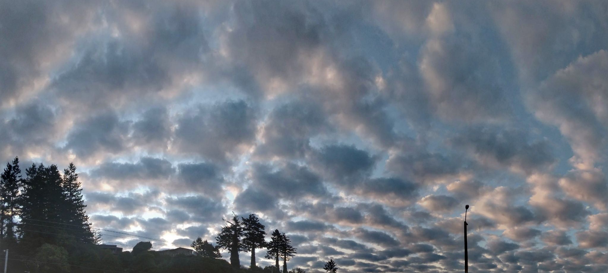 Community photo entitled  by April Cronenberg on 01/21/2021 at Brookings/Harbor, Oregon