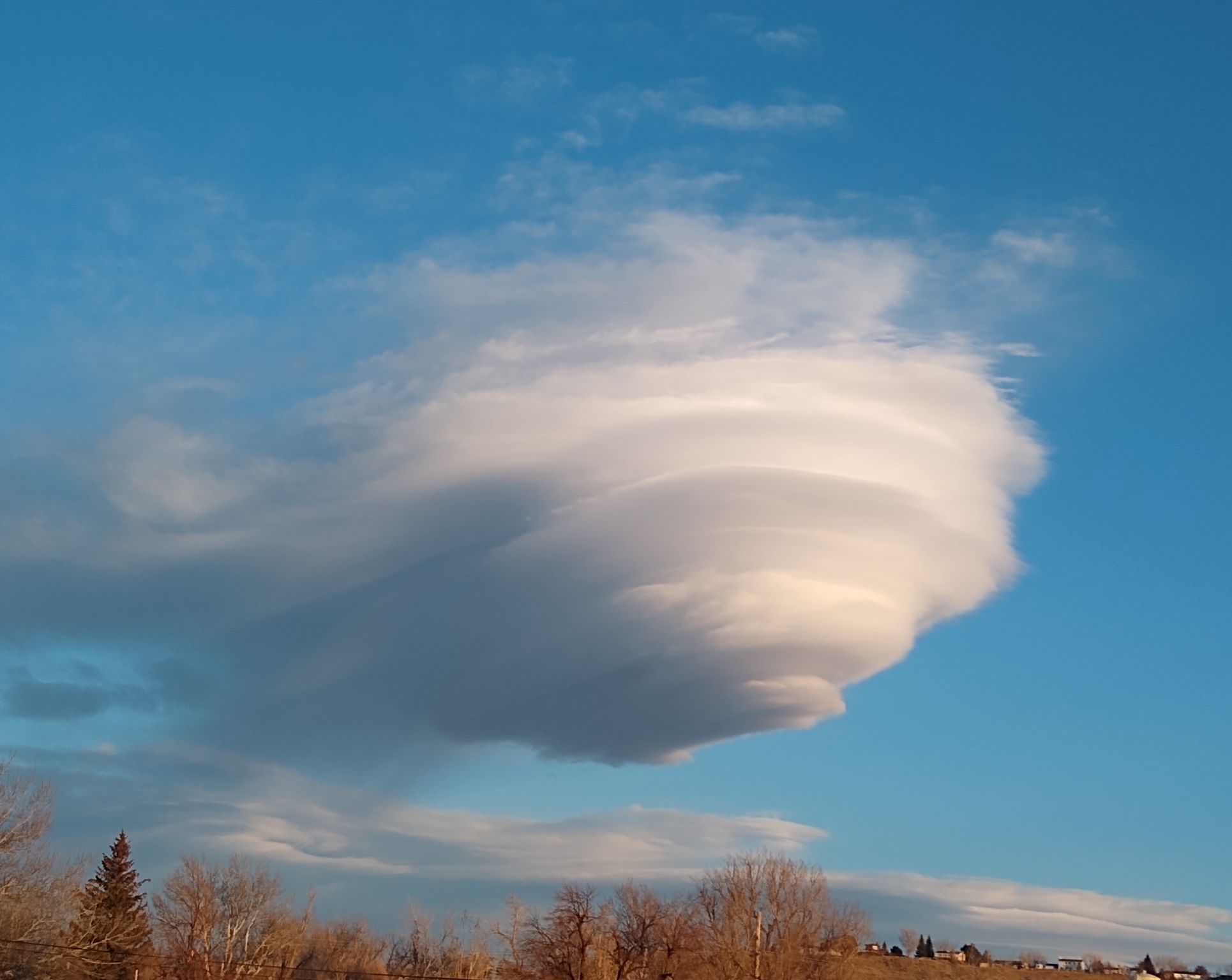 Community photo entitled  by Lucy Turek on 01/29/2021 at Casper, Wyoming