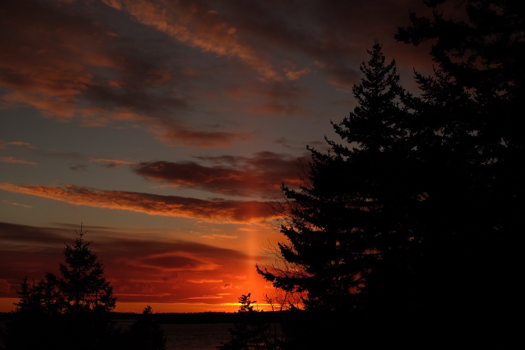 Community photo entitled  by Penelope Parson on 01/08/2021 at Brooklin, ME USA