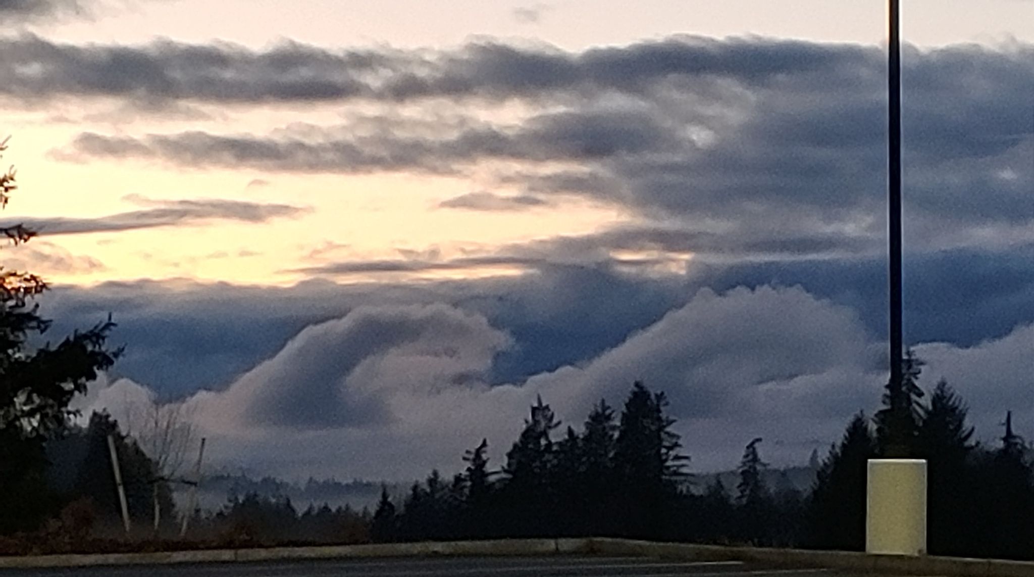 Community photo by Amy Hanson | Bremerton washington