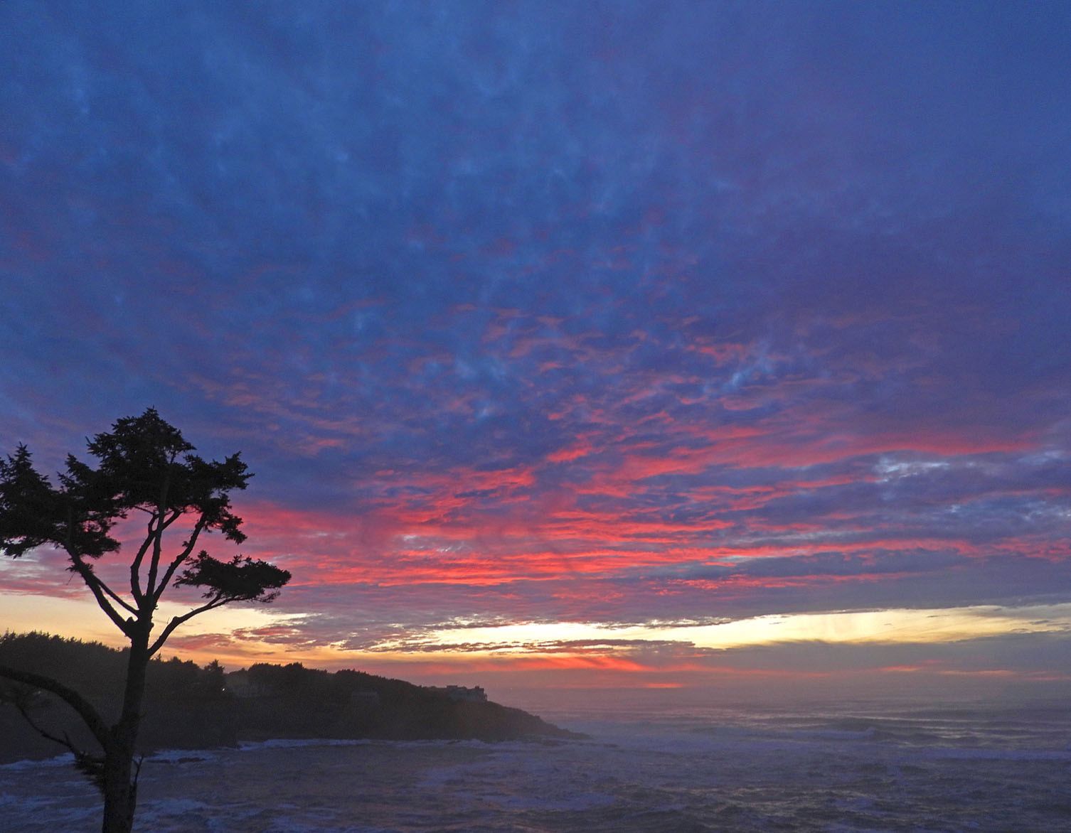 Community photo entitled  by Cecille Kennedy on 01/16/2021 at South Point, Oregon Coast US