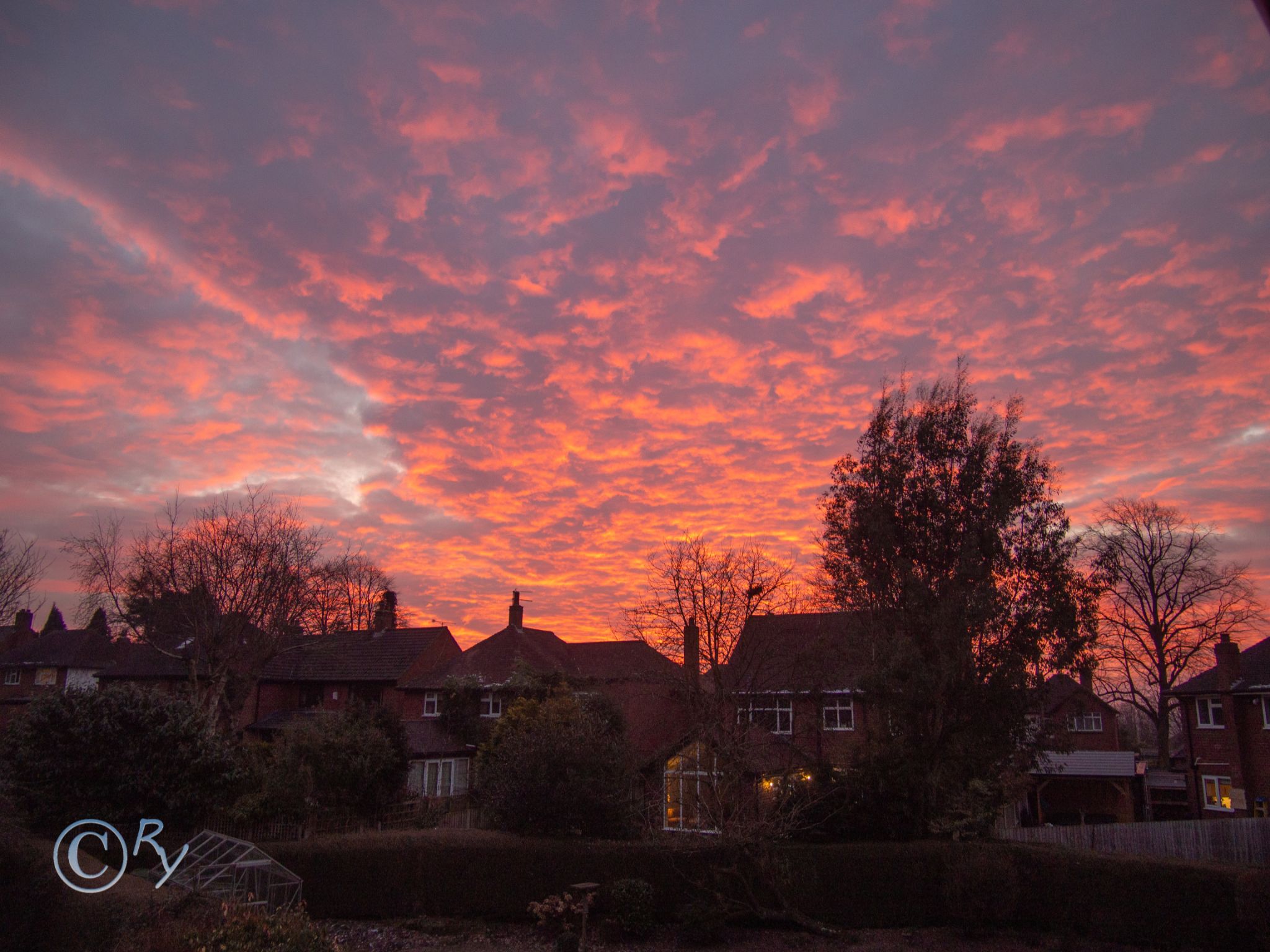 Community photo entitled  by Richard Yorke on 02/12/2021 at North Staffordshire, UK