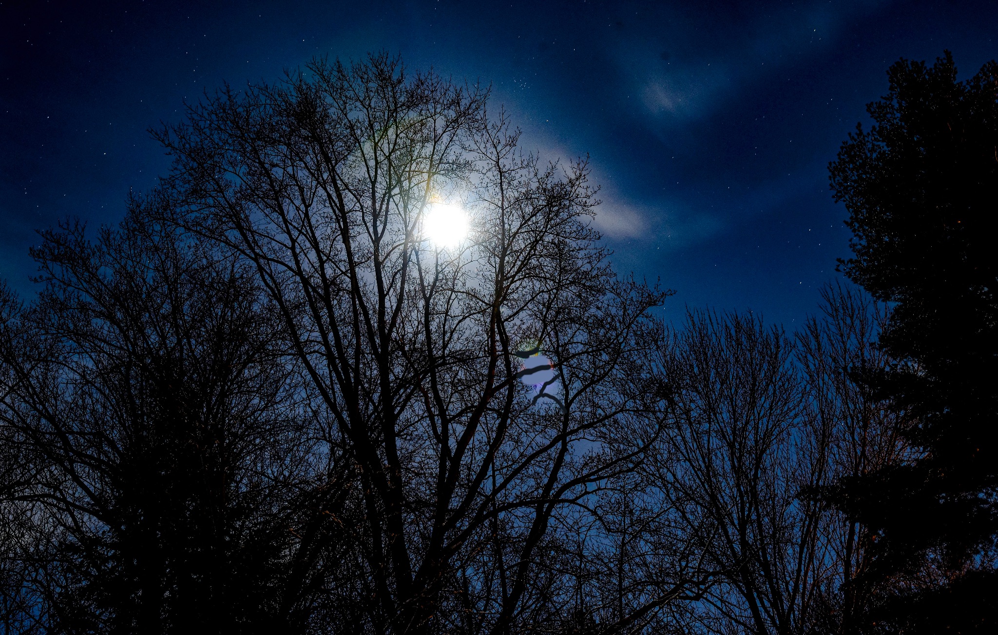 Community photo entitled  by Chuck Reinhart on 01/28/2021 at Vincennes, Indiana