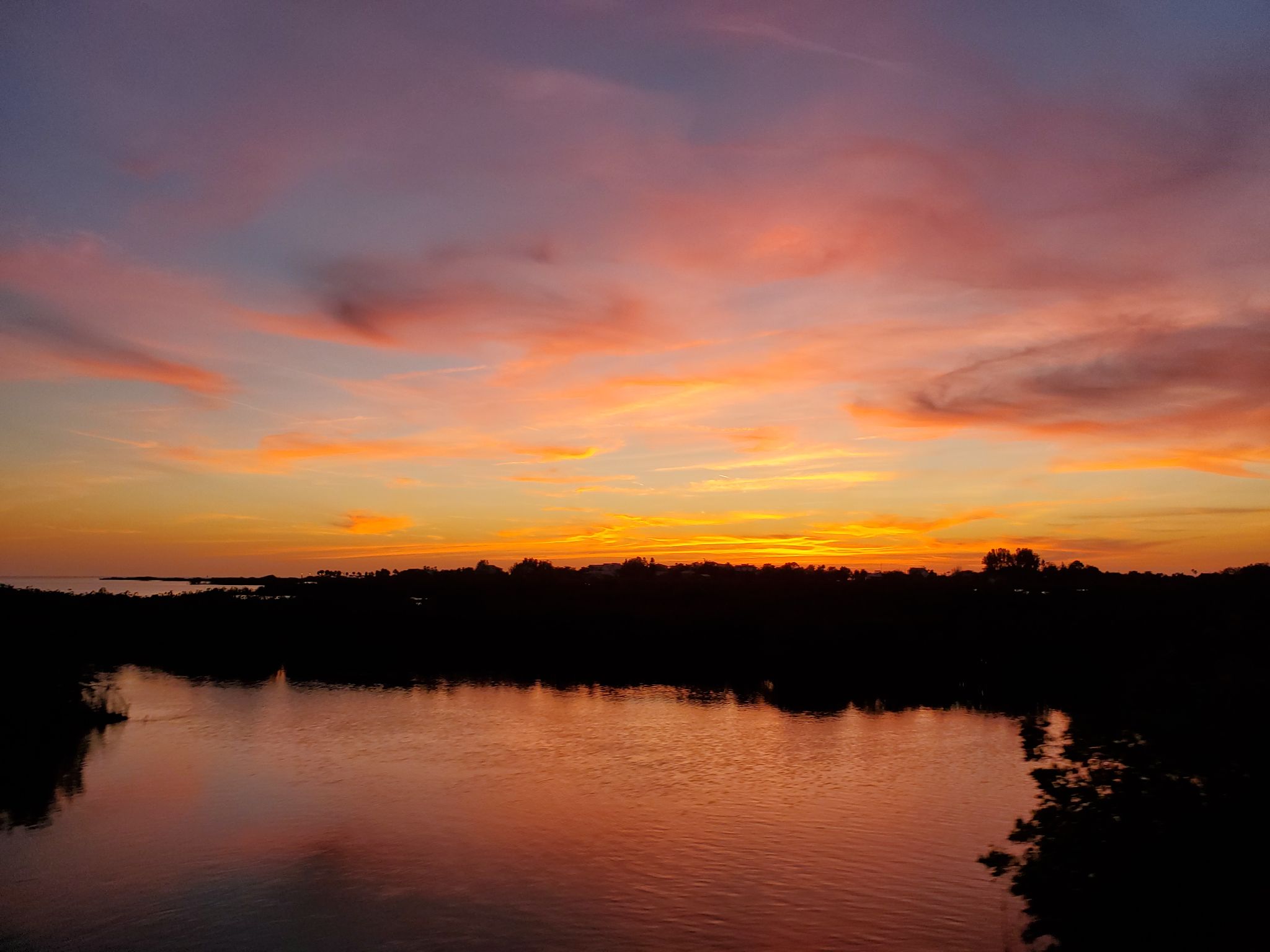 Community photo by Lori Moztoufi | Pine Island, FL