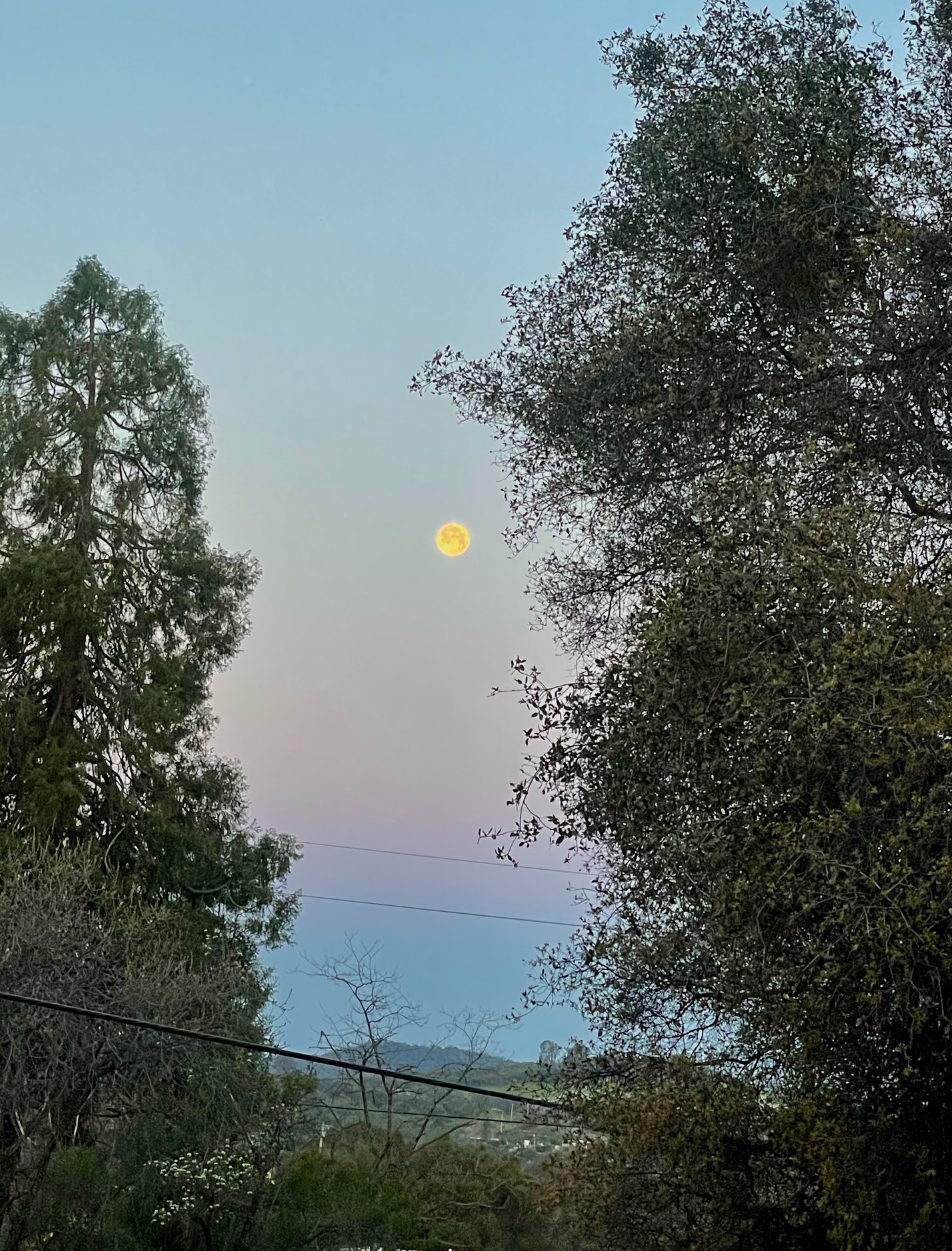 Community photo by Linda Emerson | Sonora, CA, USA