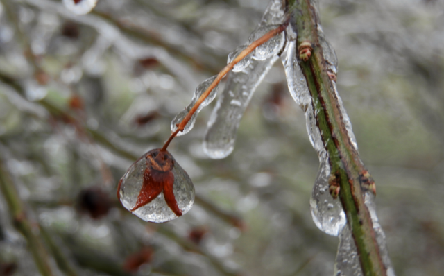 Community photo entitled  by Elina Gorenstein on 03/15/2021 at West Lafayette, Indiana, United States