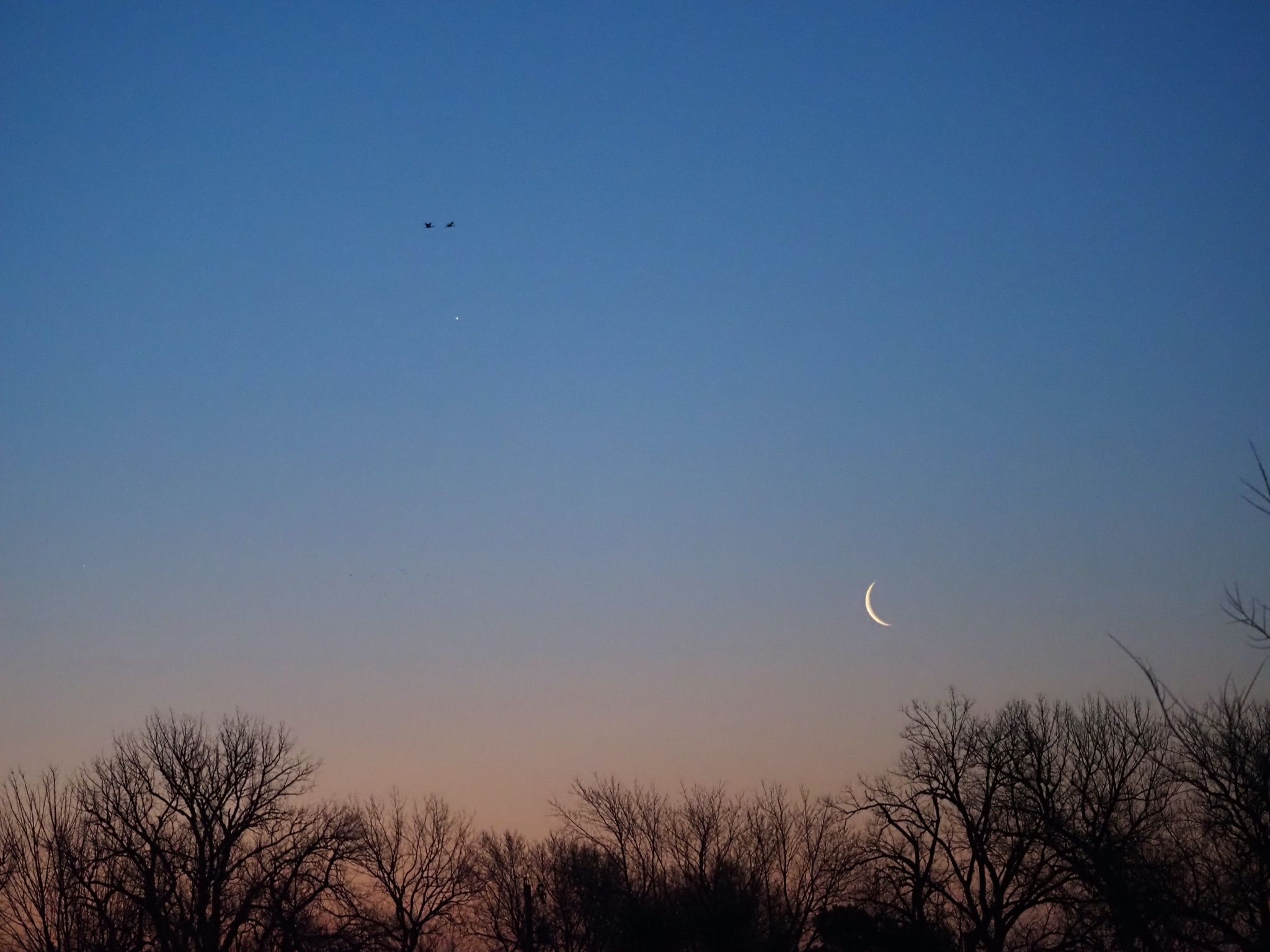 Community photo entitled  by Holly Harker on 03/10/2021 at Kearney, Nebraska