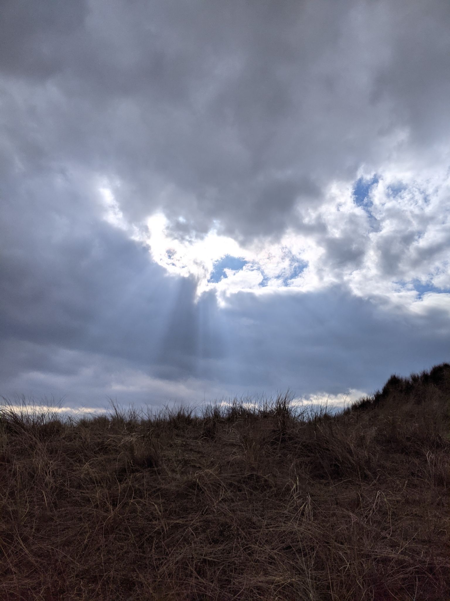 Community photo entitled  by Kevan Hubbard on 03/23/2021 at Teesmouth nature reserve, Co Durham, England