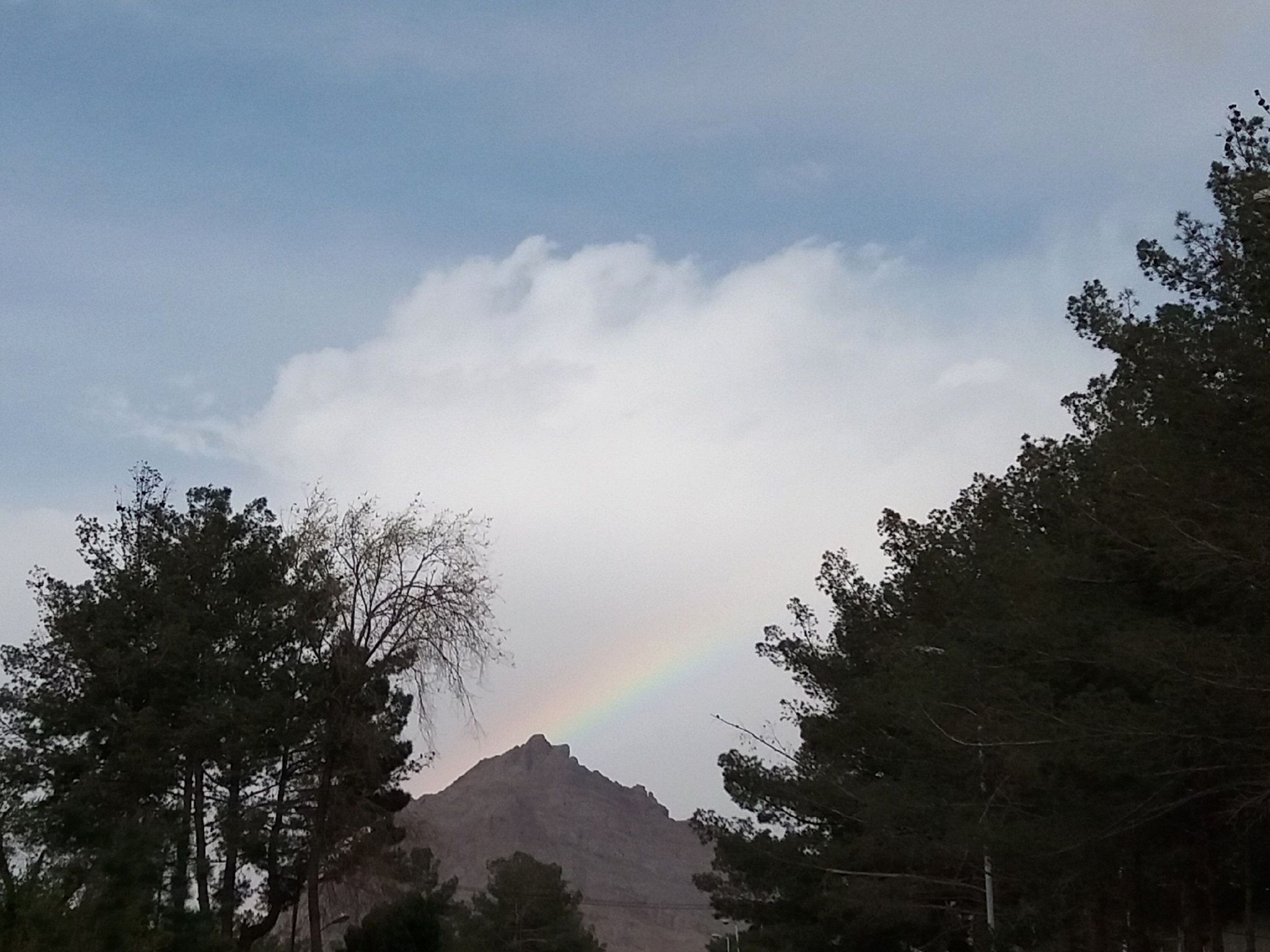 Community photo entitled  by Hassan Dadashi . arani on 04/02/2021 at Esfahan.iran