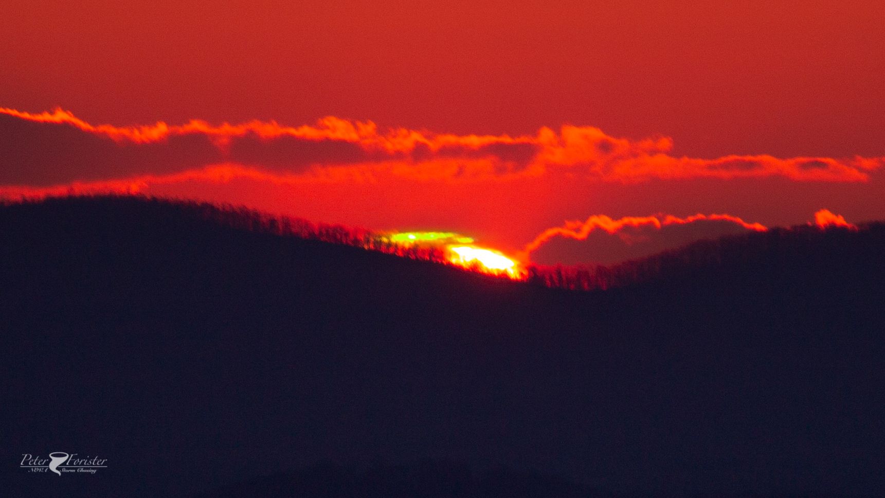 Community photo entitled  by Peter Forister on 04/02/2021 at Afton, Virginia, USA