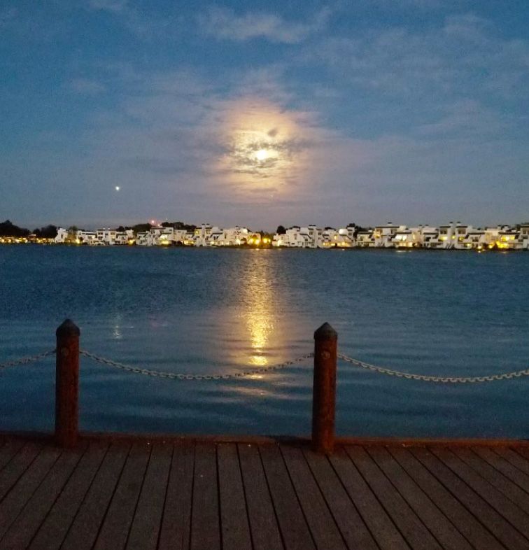 Community photo by Tom Fier | Foster City (main lagoon), California