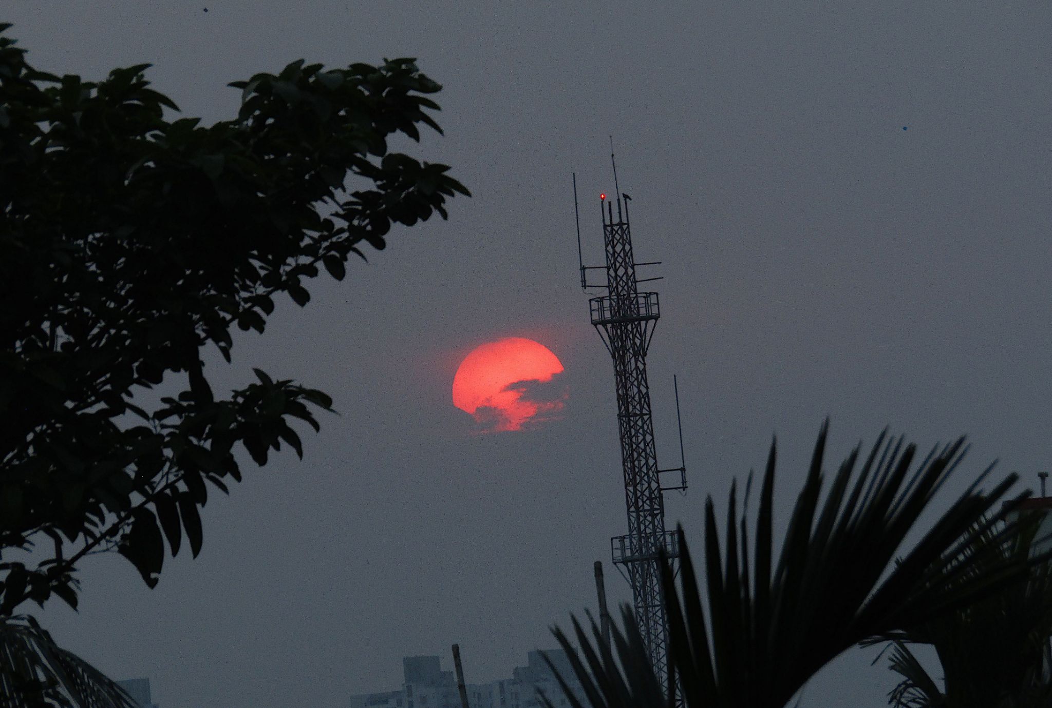 Community photo entitled  by Amitav Banerjee on 04/04/2021 at Kolkata, West Bengal, India