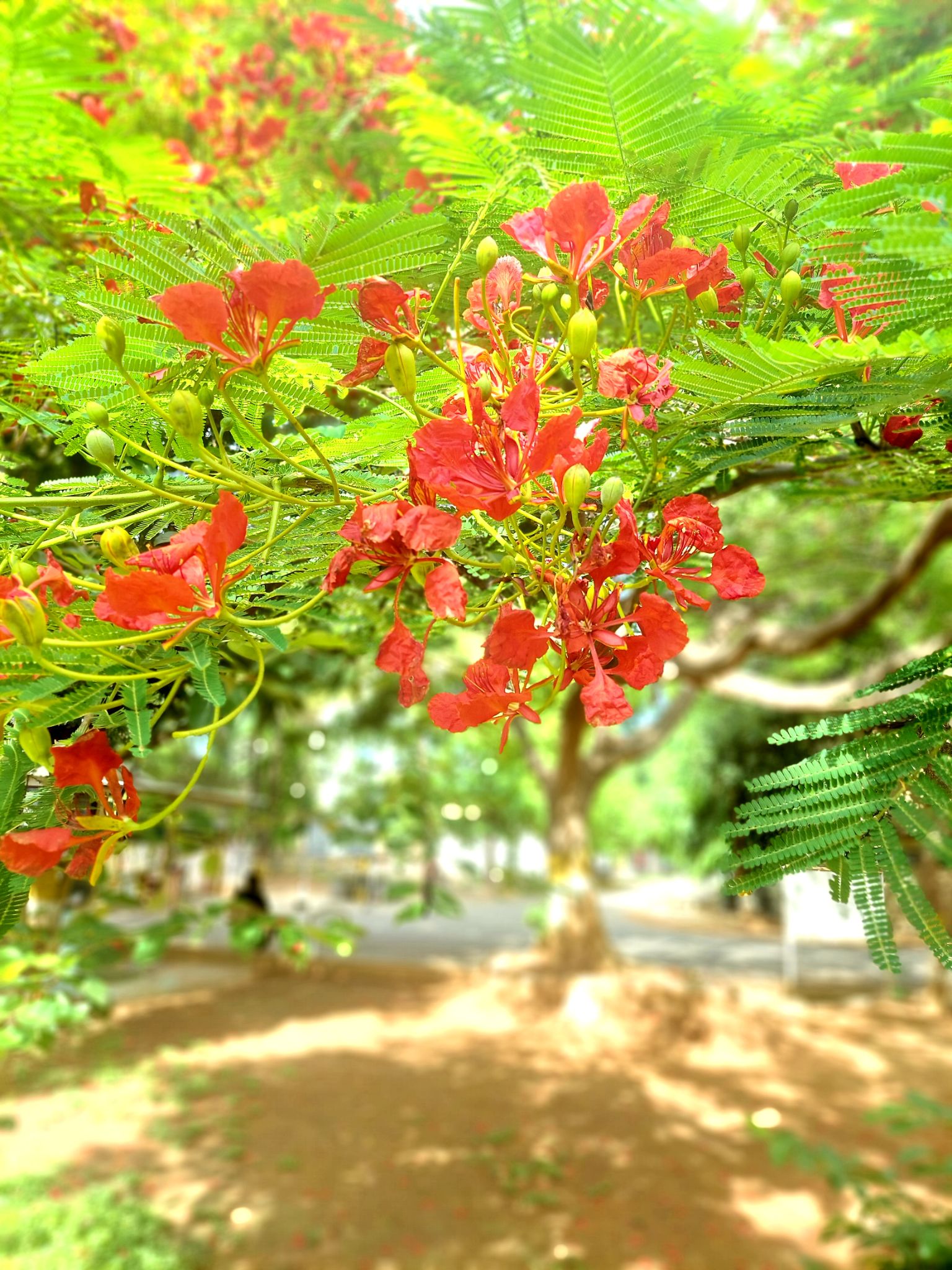 Community photo by Bhimeswara Rao