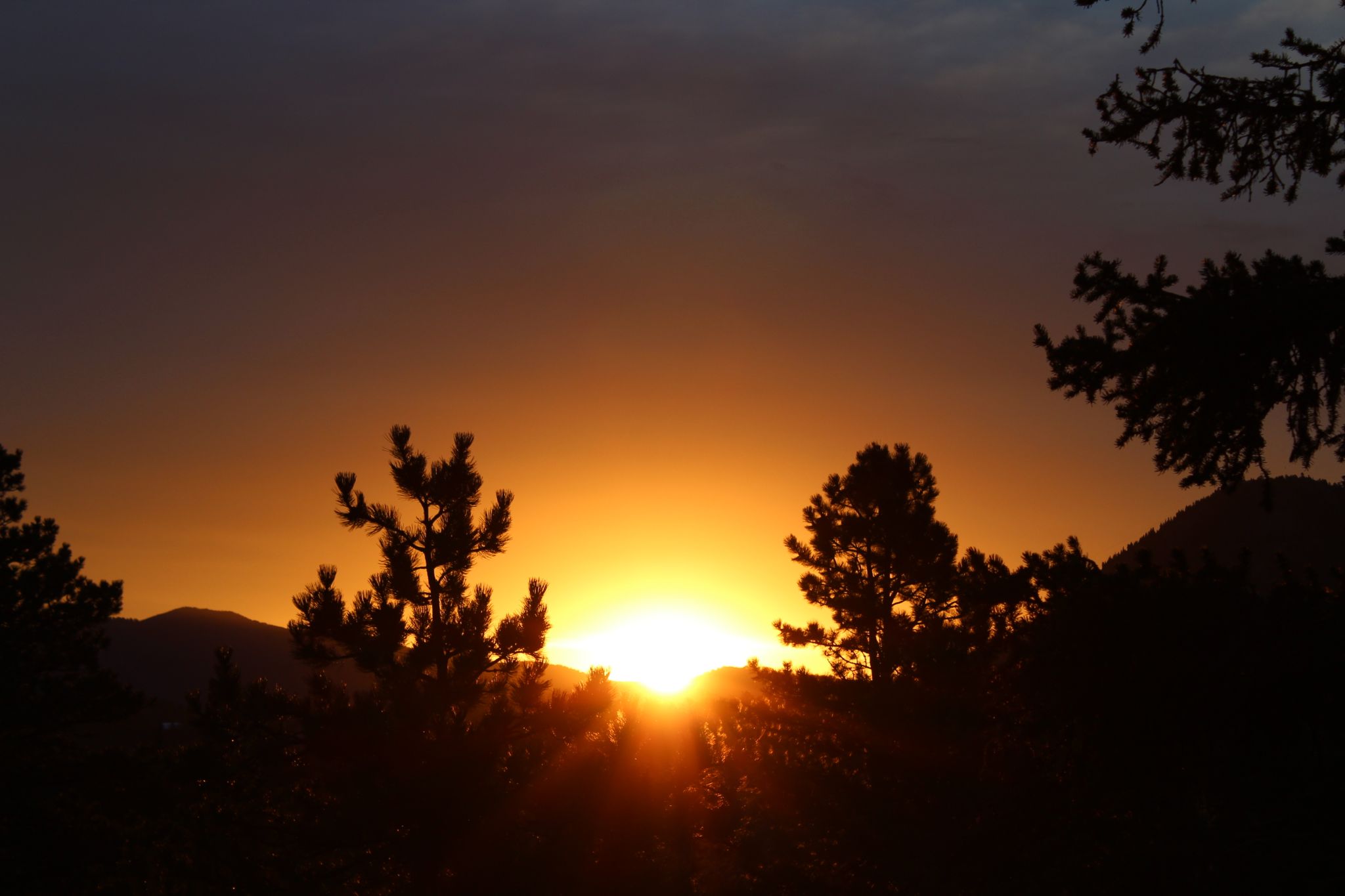 Community photo by Cheryl Revelez | Estes Park Colorado