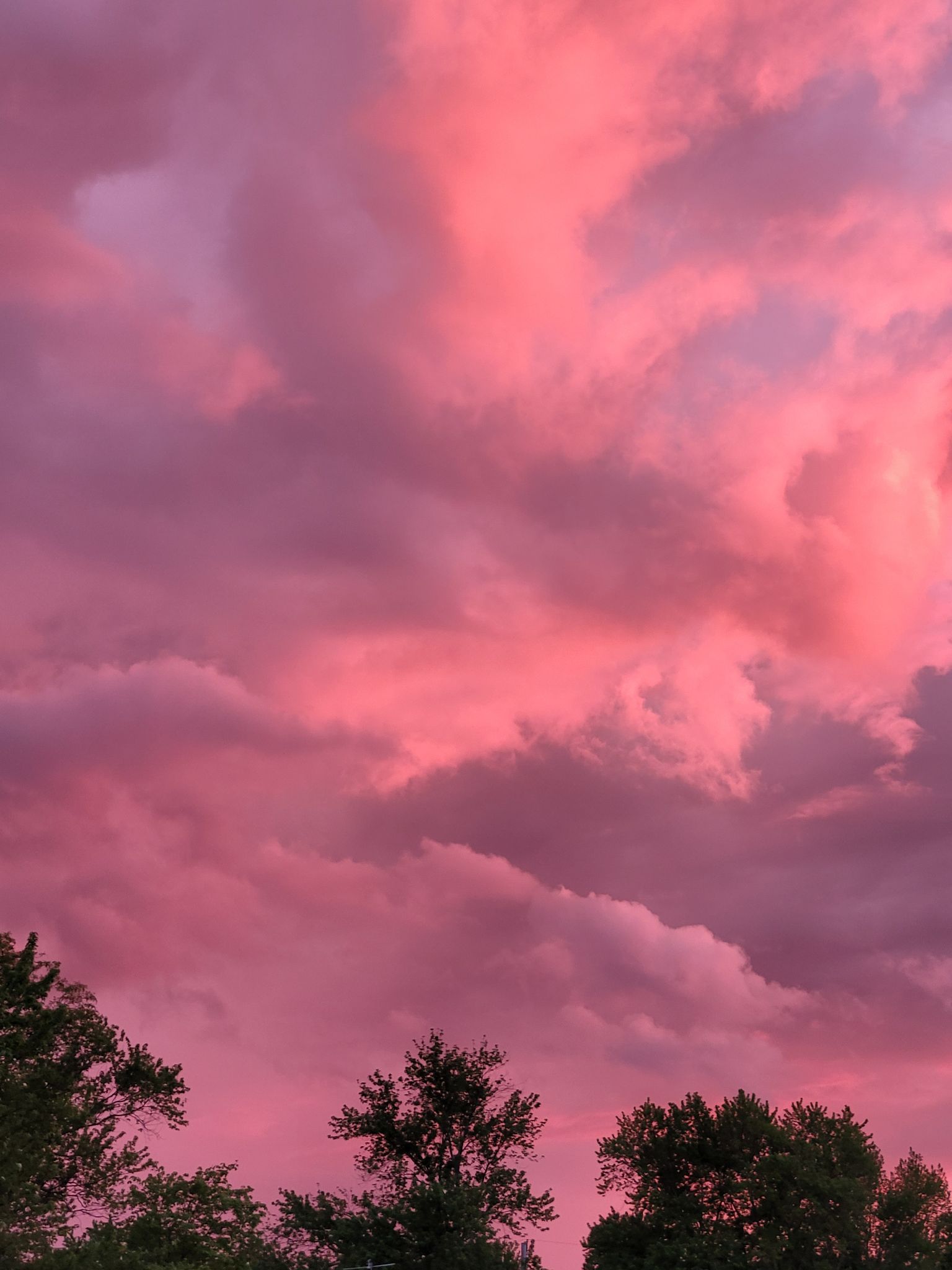 Community photo by Megan Carroll | Chesterland,  Ohio