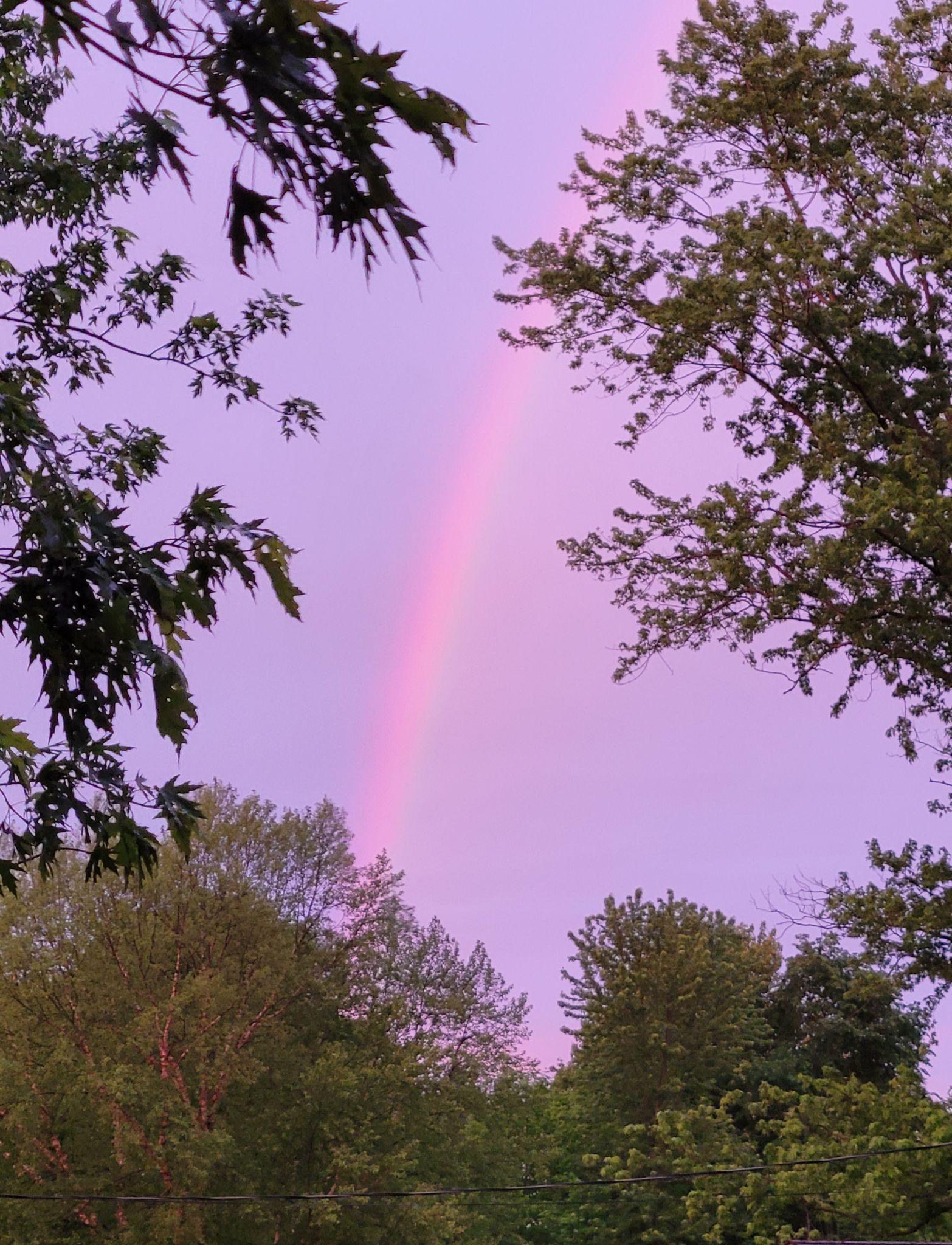 Community photo entitled  by Megan Carroll on 05/29/2021 at Chesterland,  Ohio